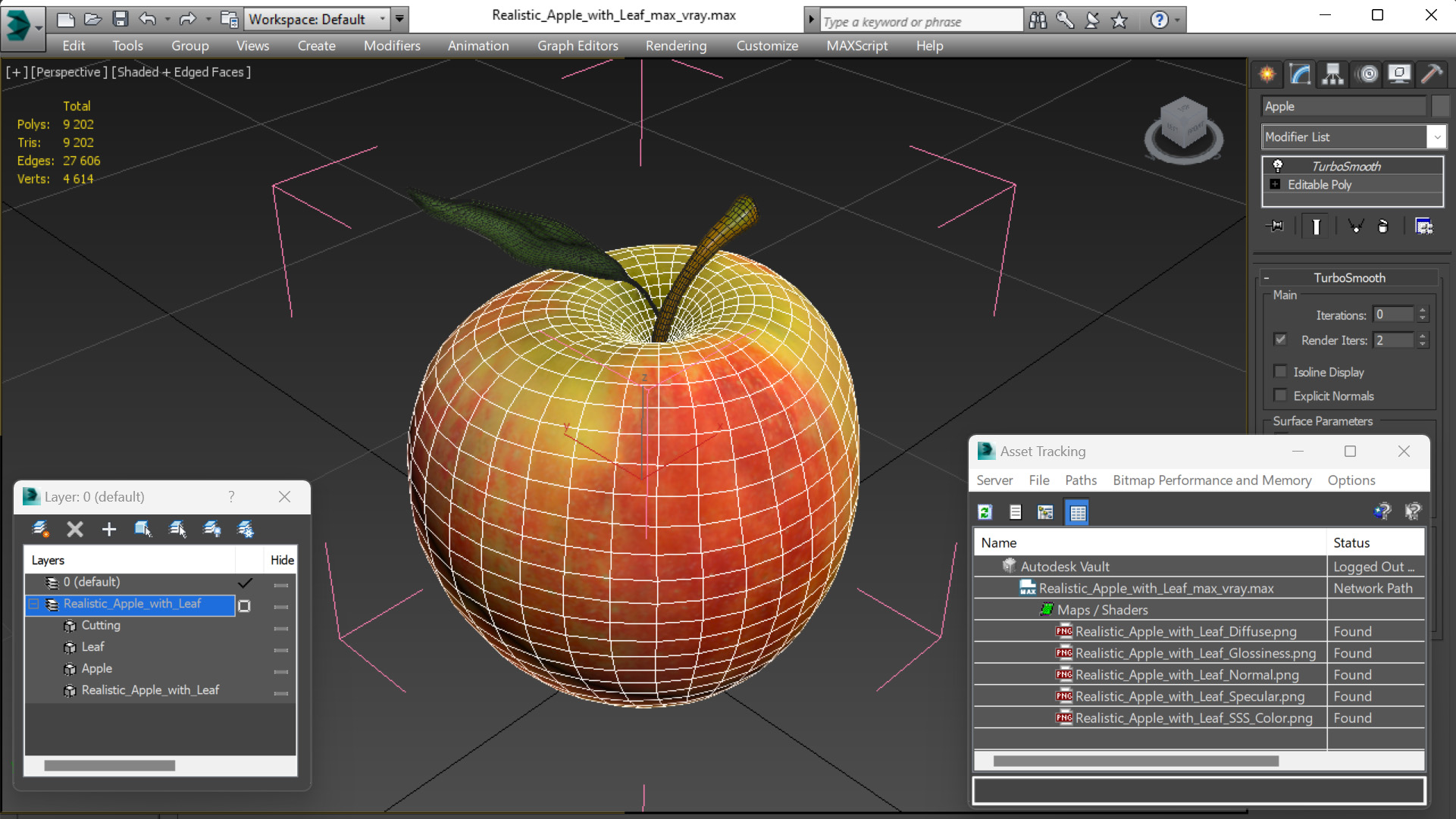 3D model Realistic Apple with Leaf
