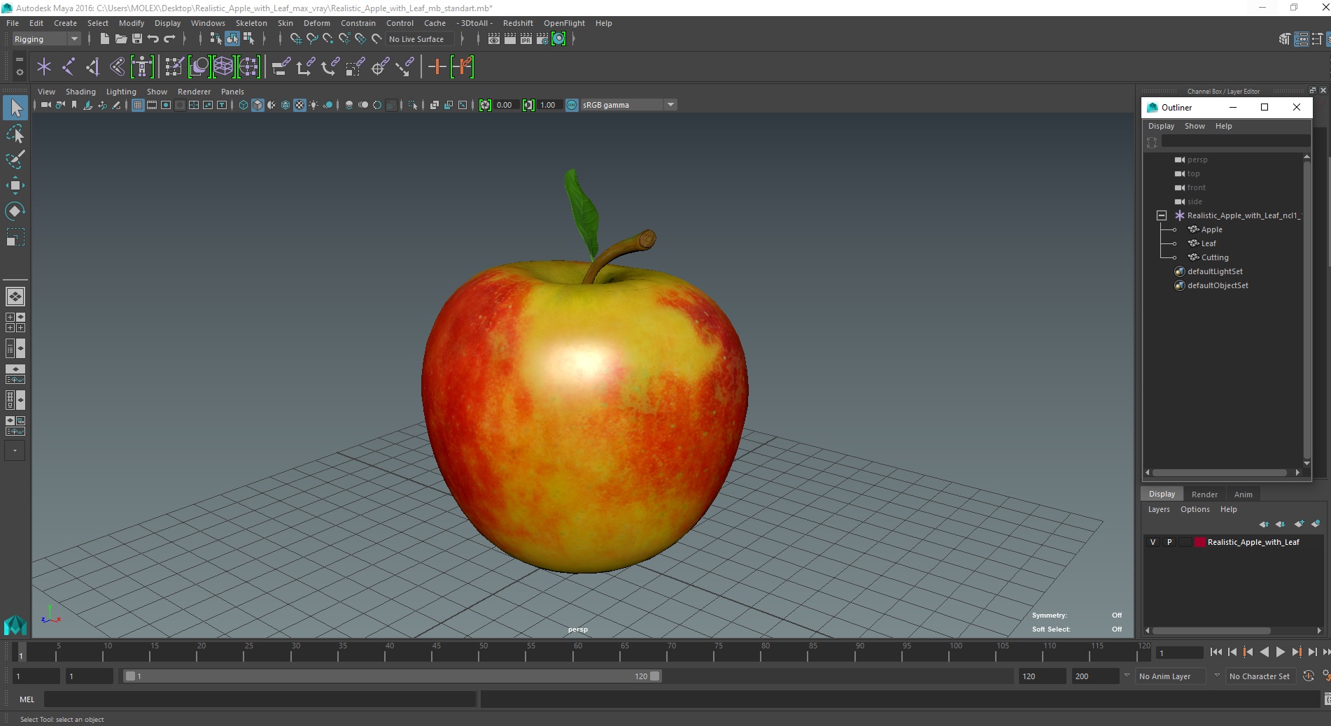 3D model Realistic Apple with Leaf