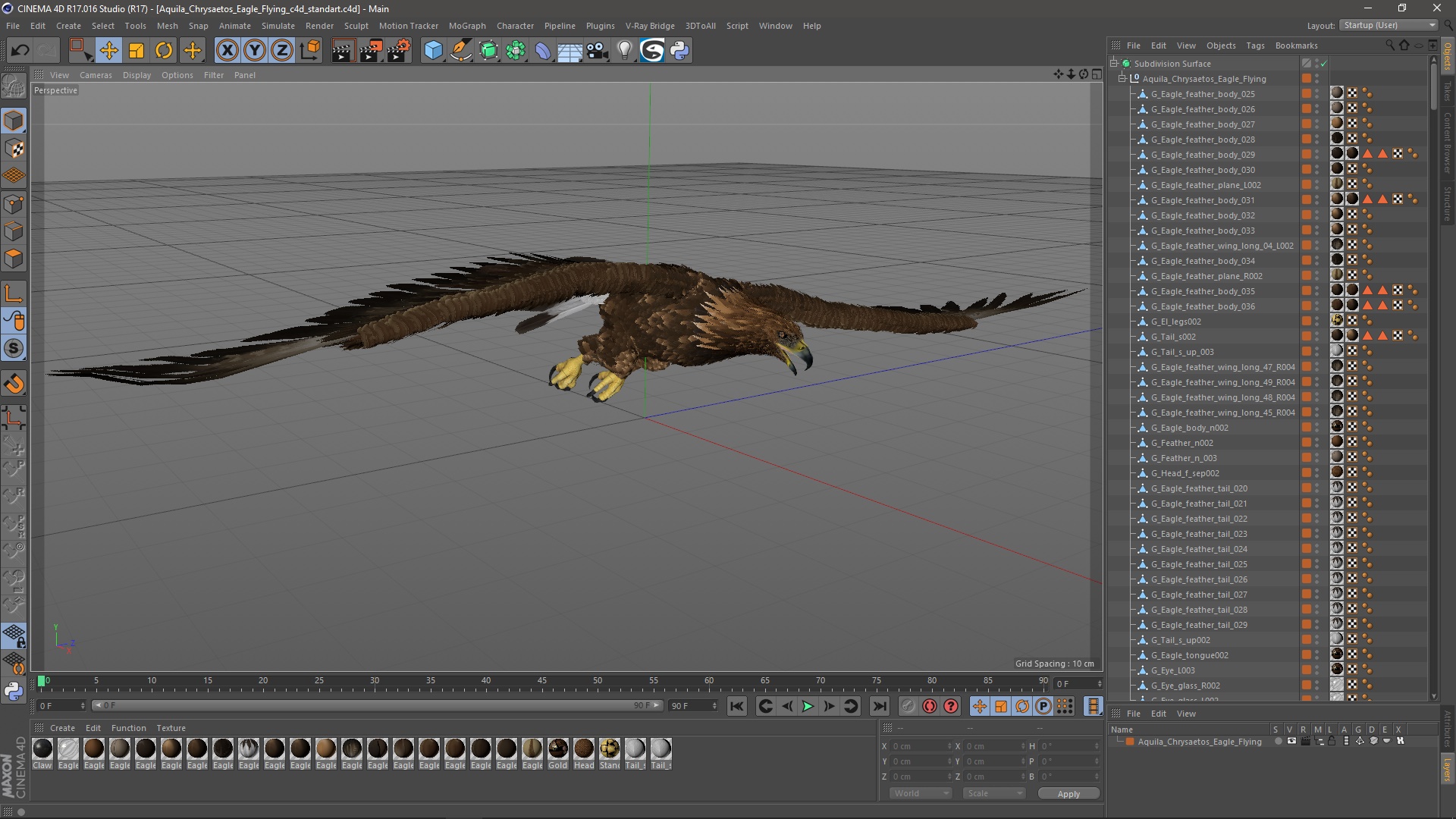 3D model Aquila Chrysaetos Eagle Flying