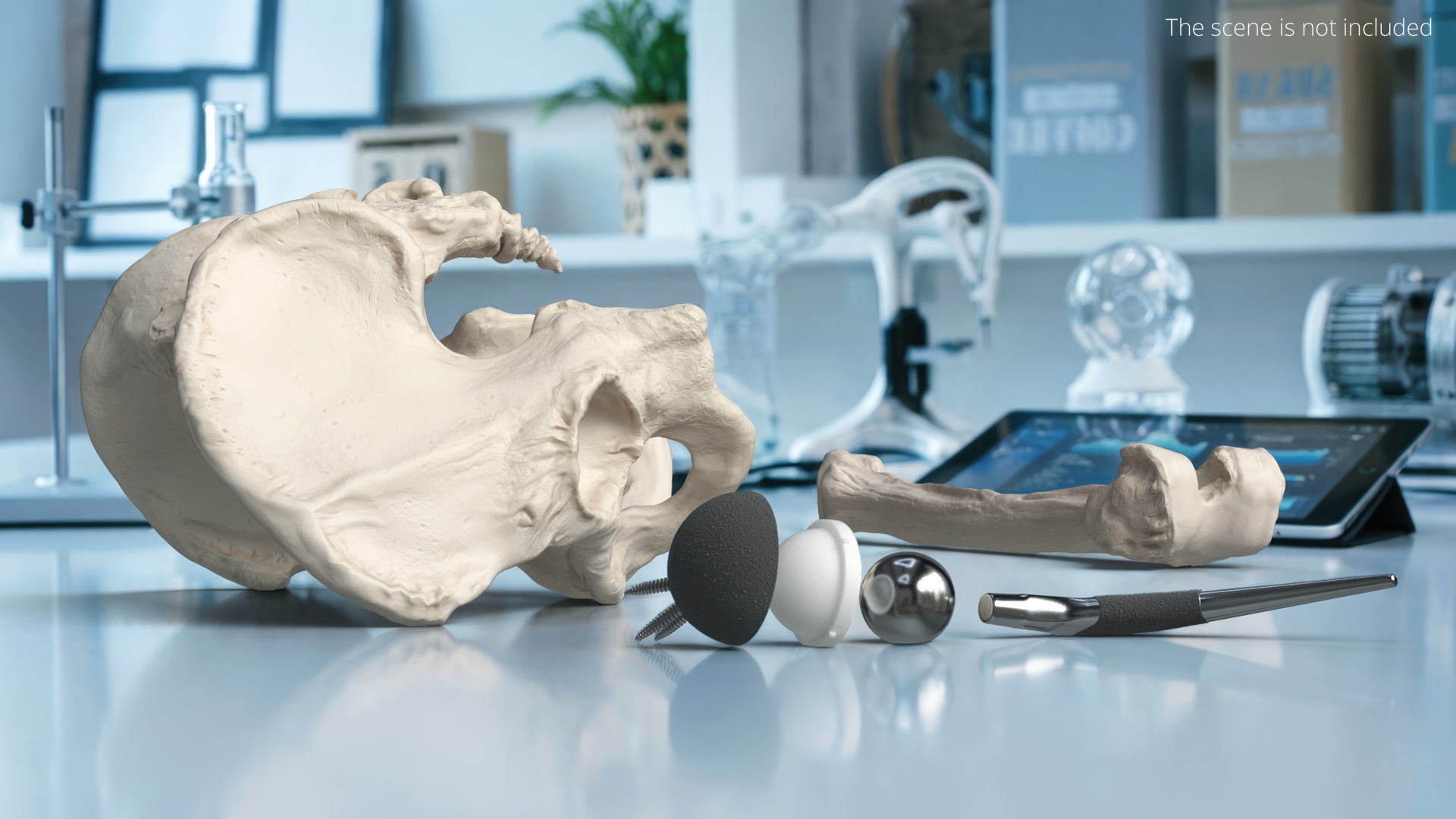 Hip Joint Implant with Pelvic Bone and Femur, view 2