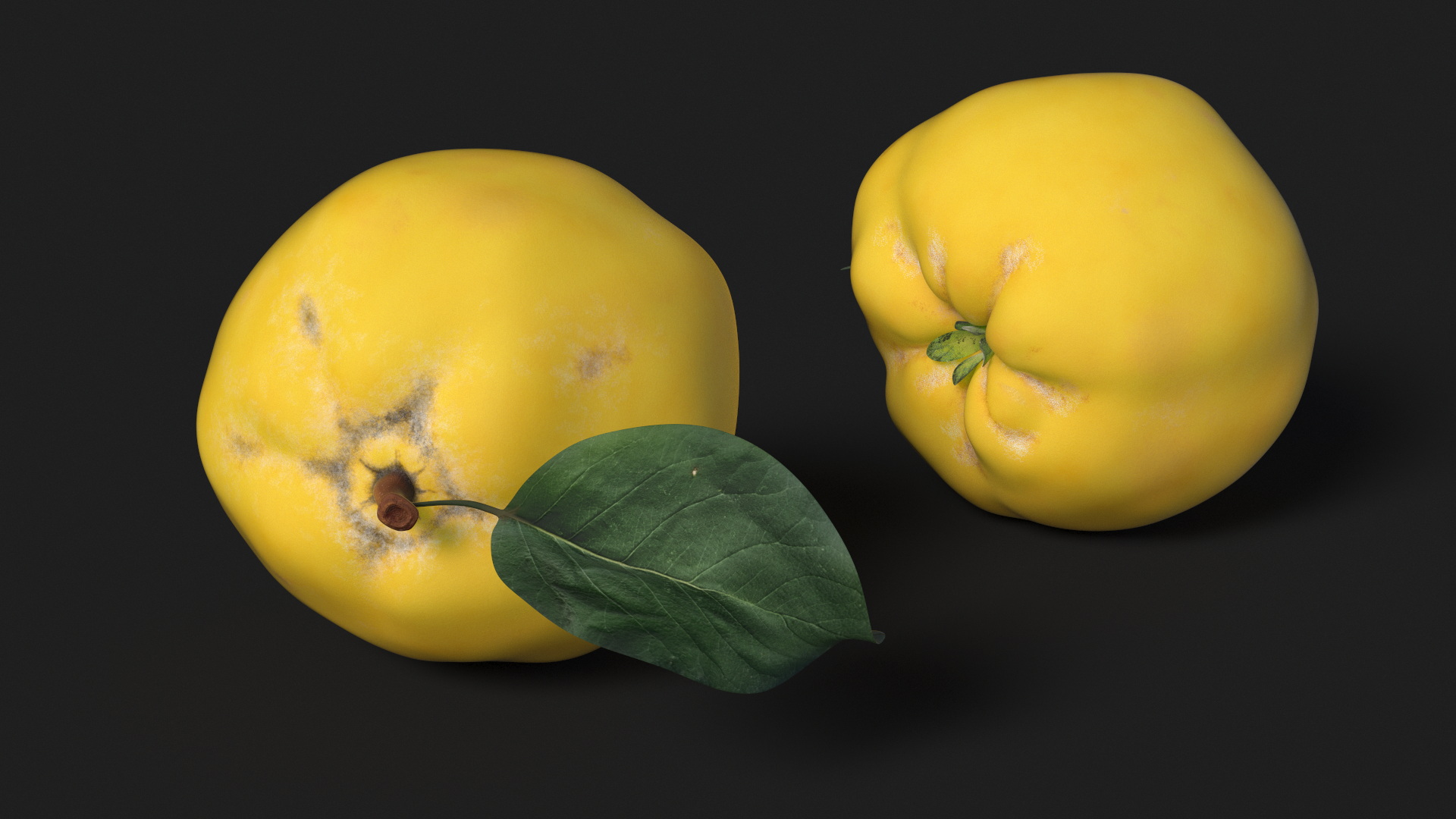3D model Quince