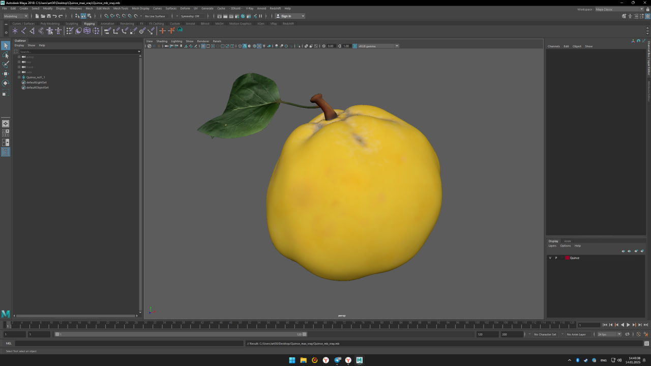 3D model Quince