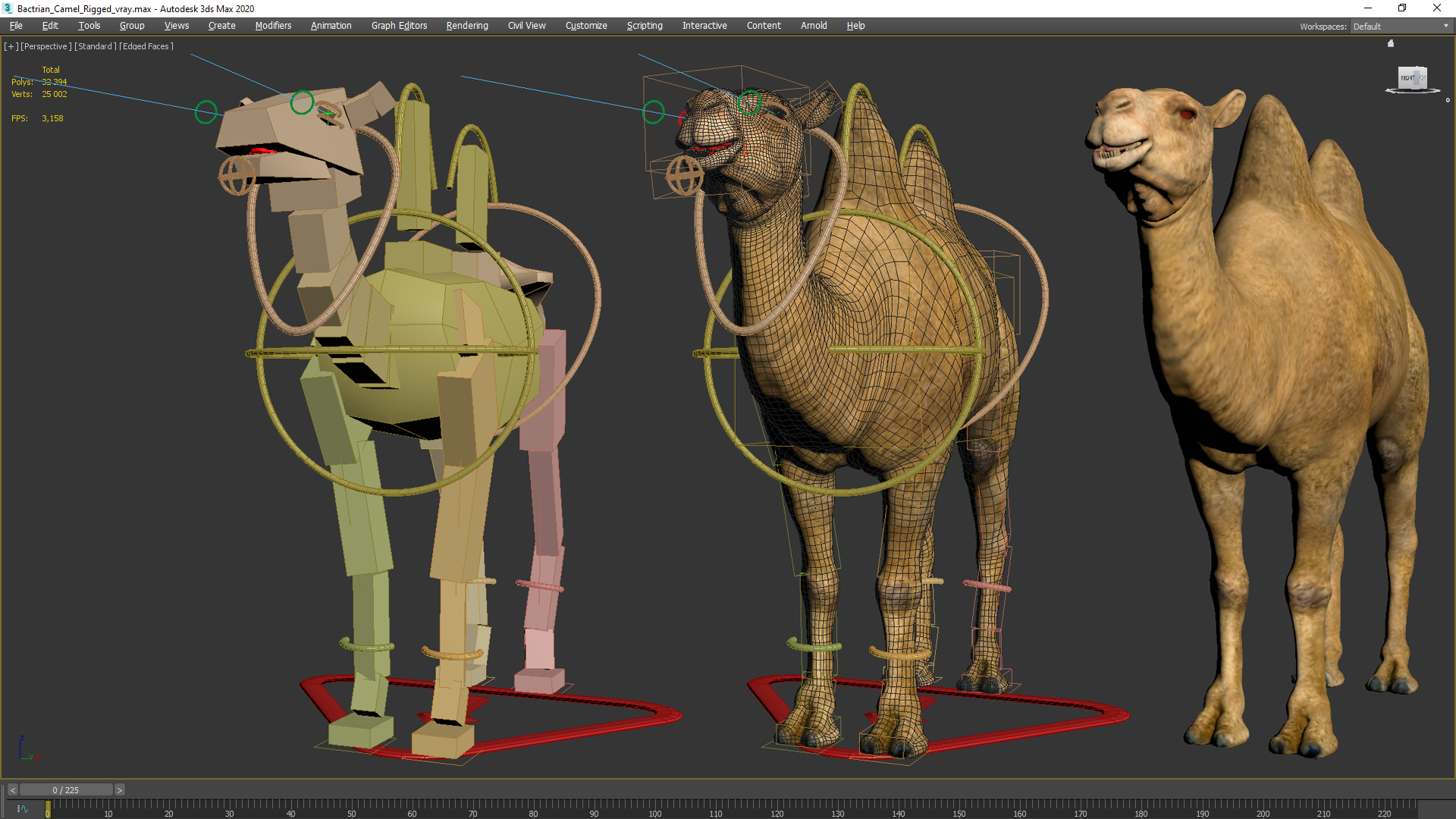 3D model Bactrian Camel Rigged for Cinema 4D