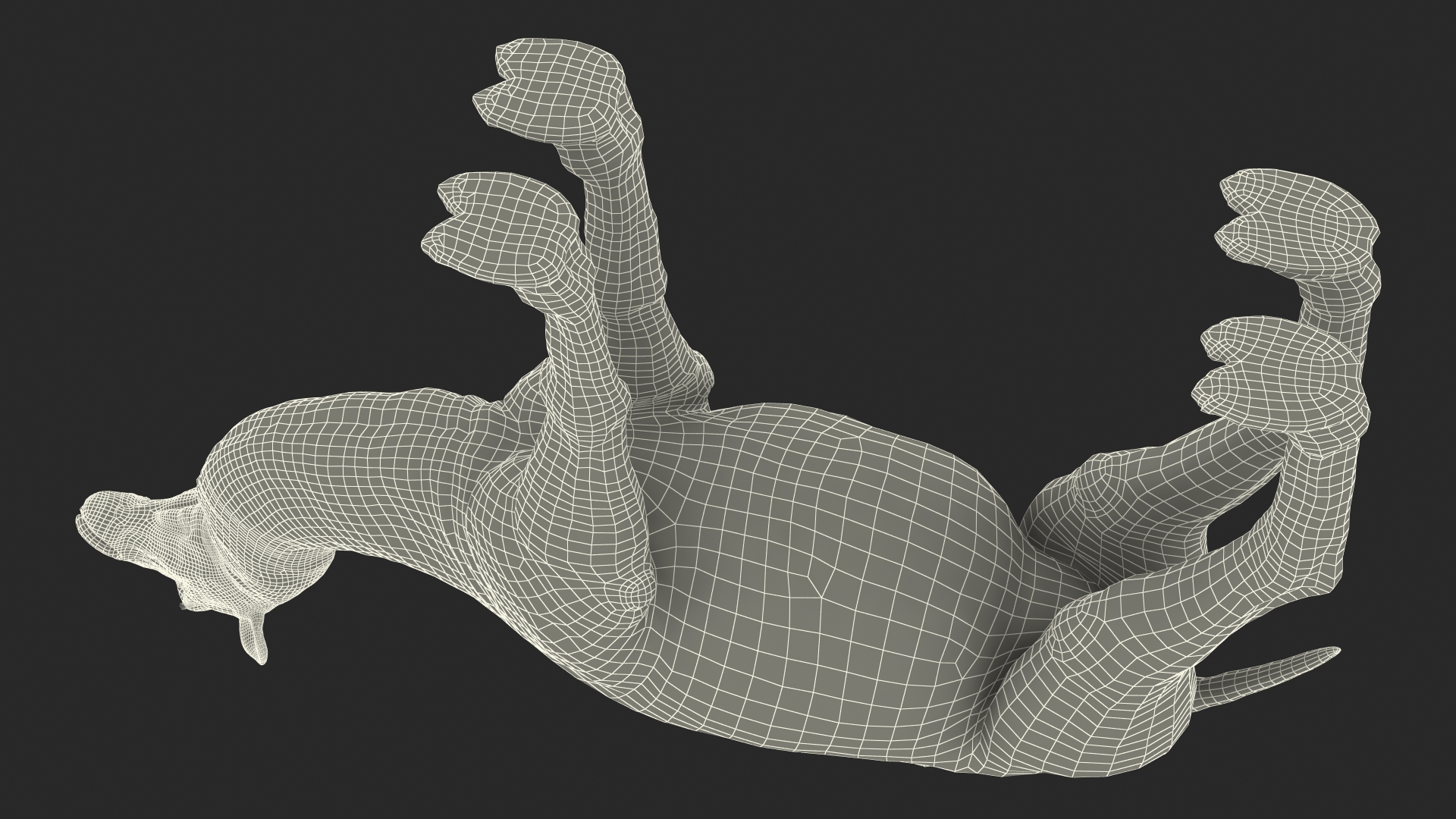 3D model Bactrian Camel Rigged for Cinema 4D