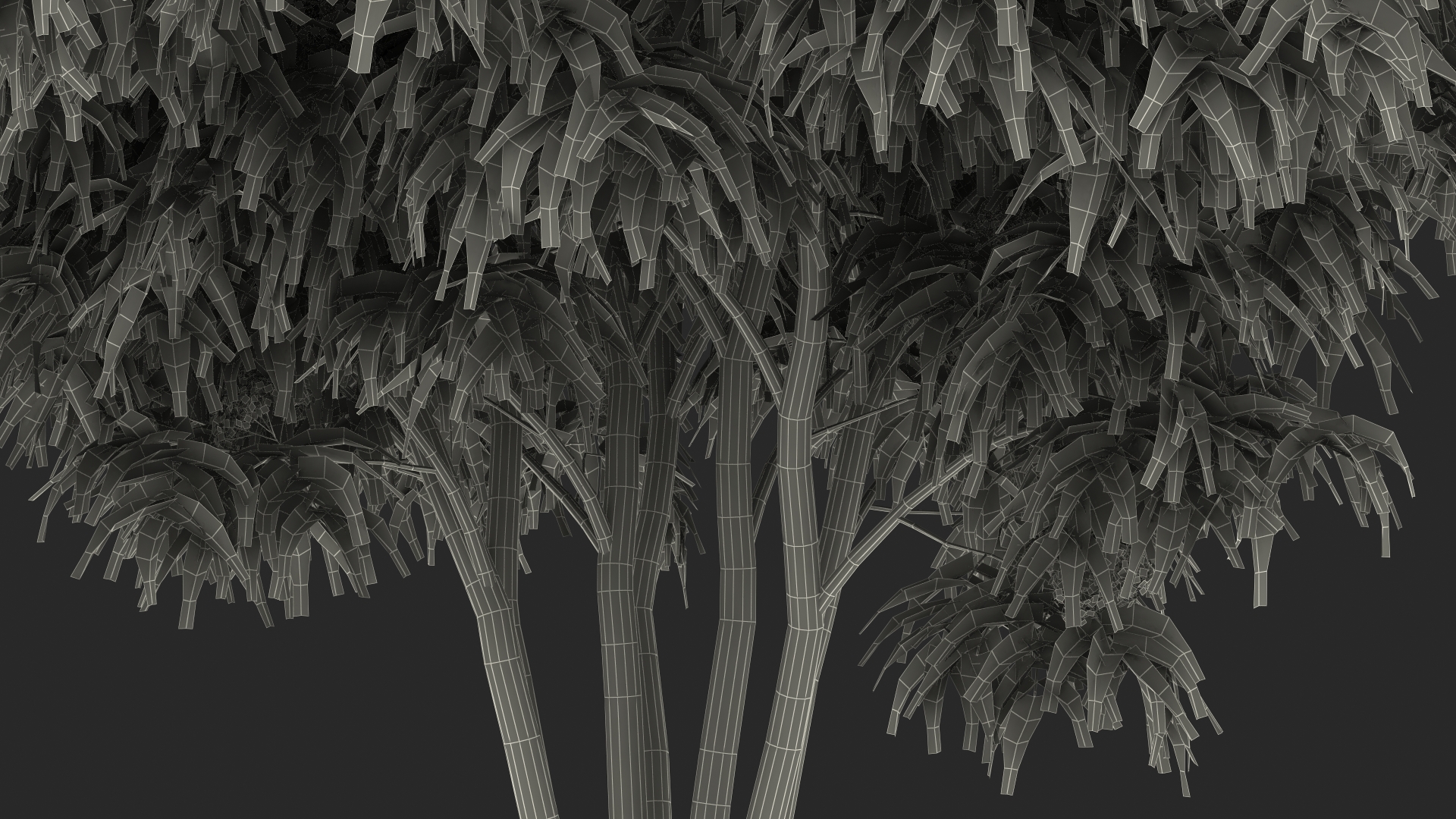 American Elderberry Blooming Shrub 3D model