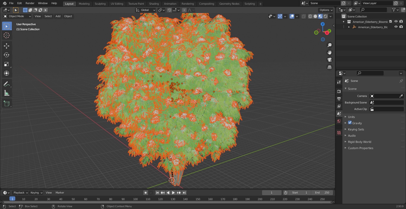 American Elderberry Blooming Shrub 3D model