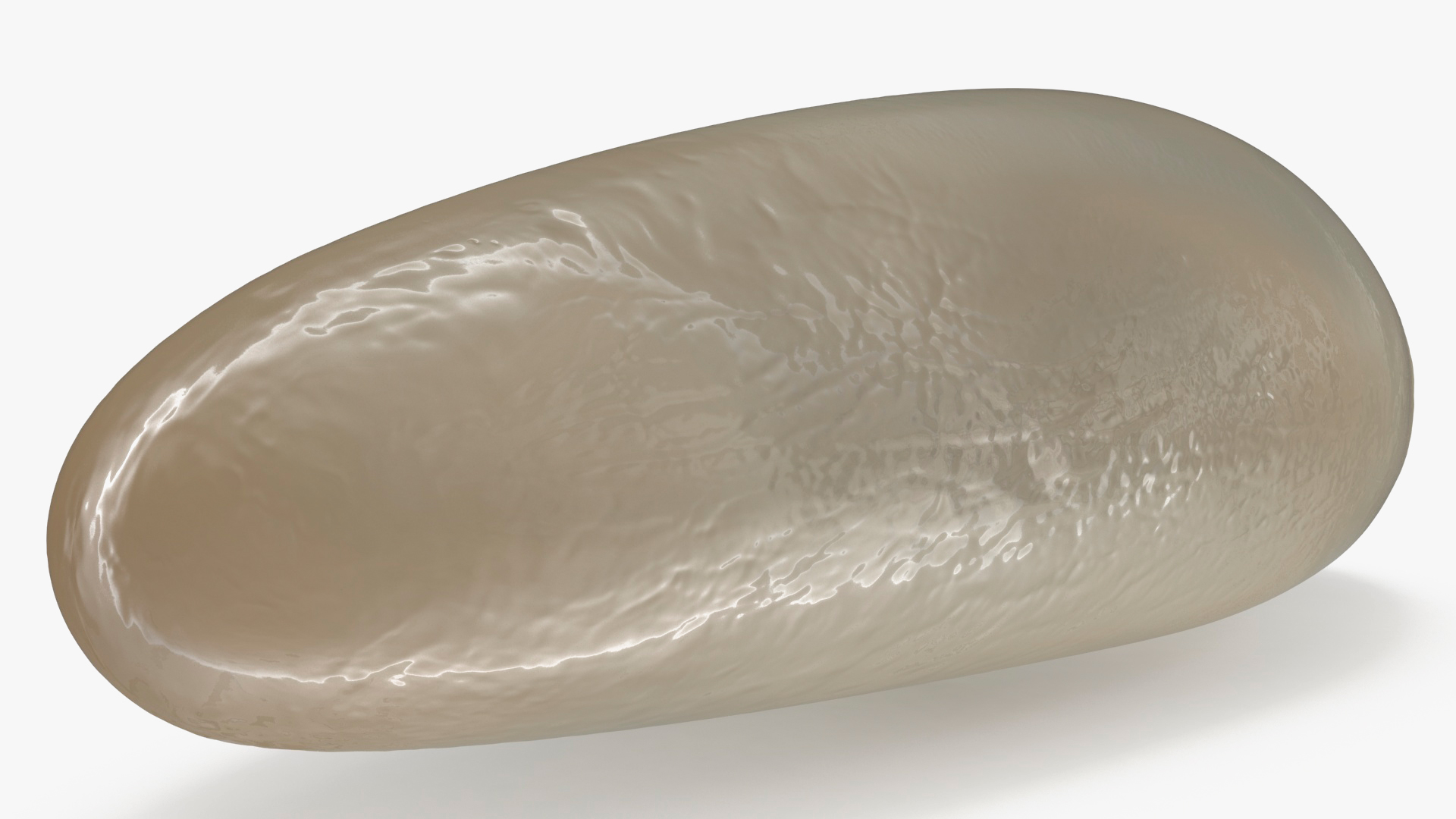 3D model Human Head Louse Egg