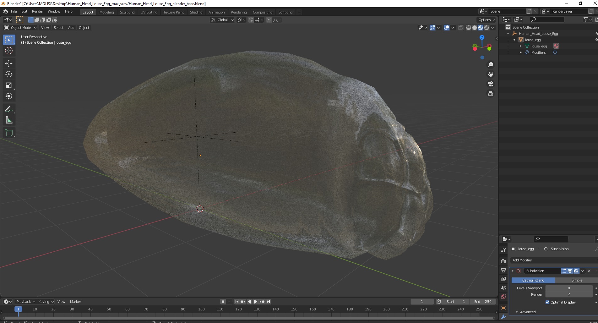 3D model Human Head Louse Egg