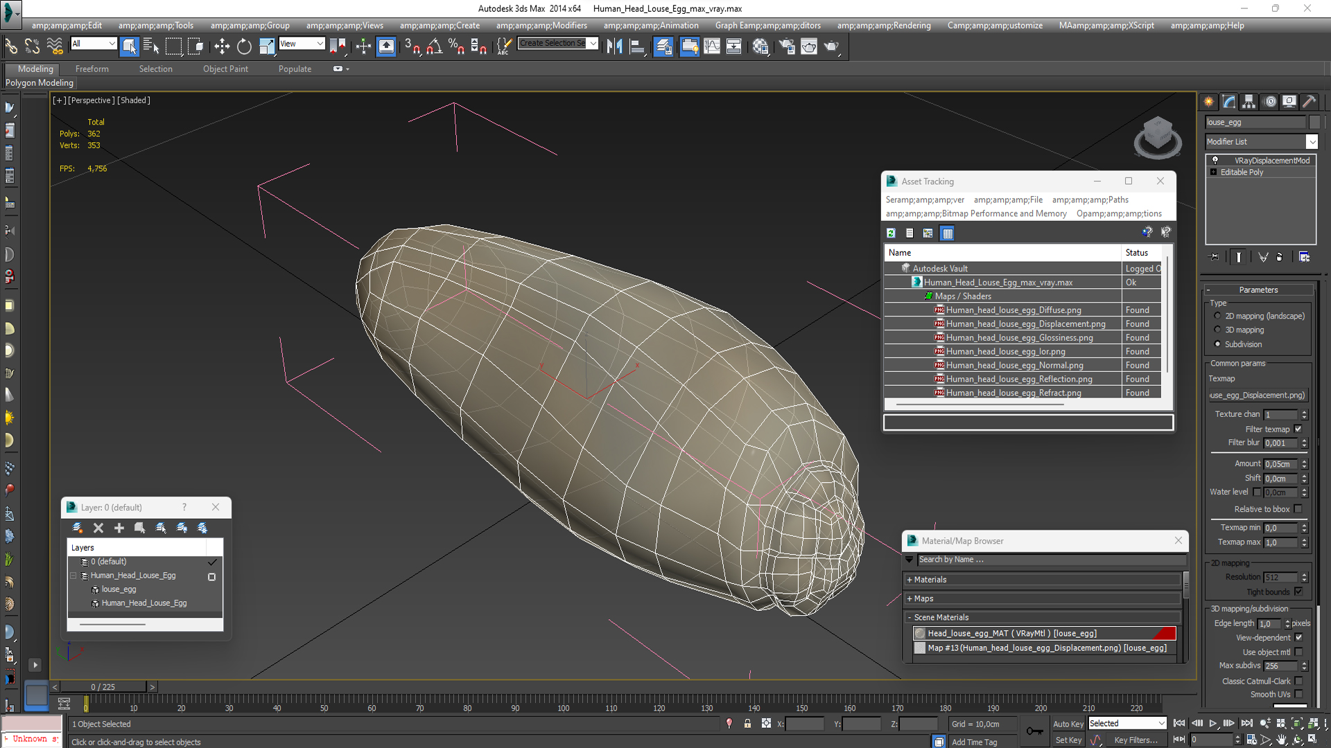 3D model Human Head Louse Egg