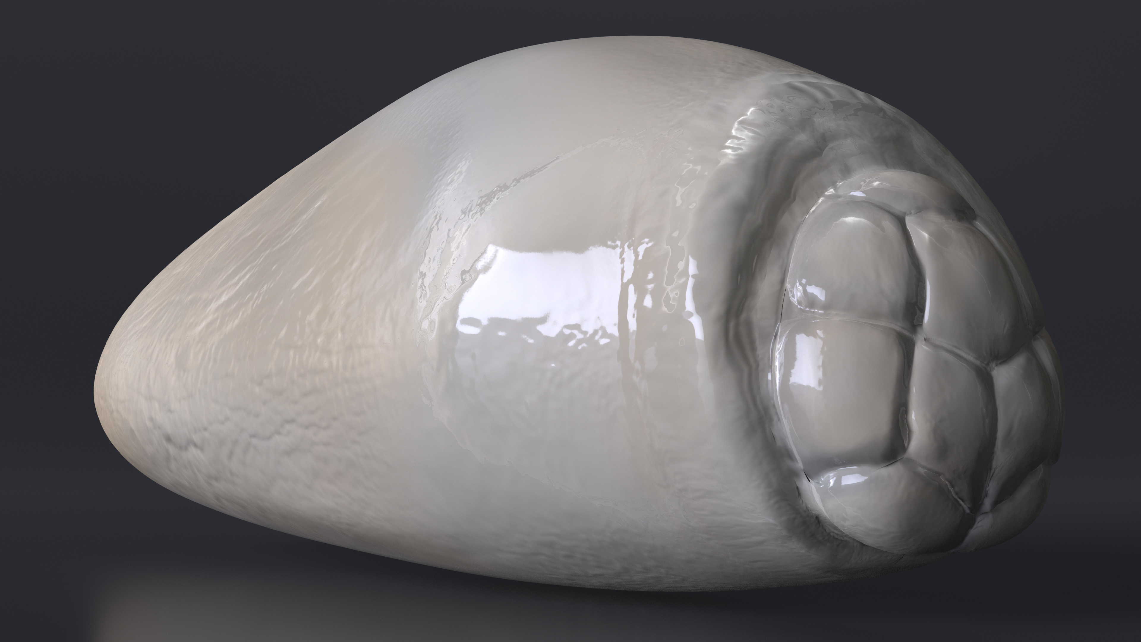 3D model Human Head Louse Egg