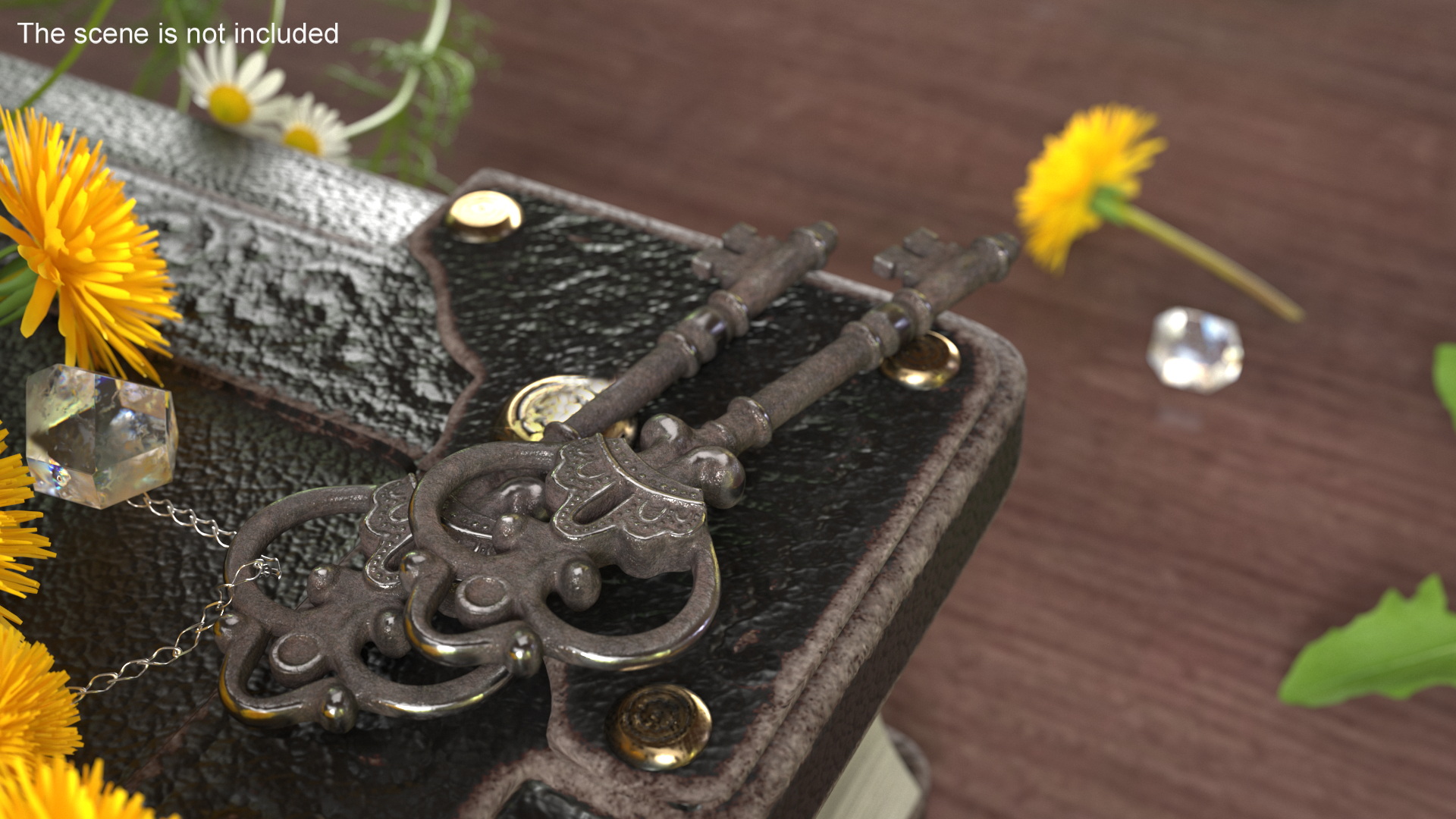 Decorative Skeleton Key Steel 3D model