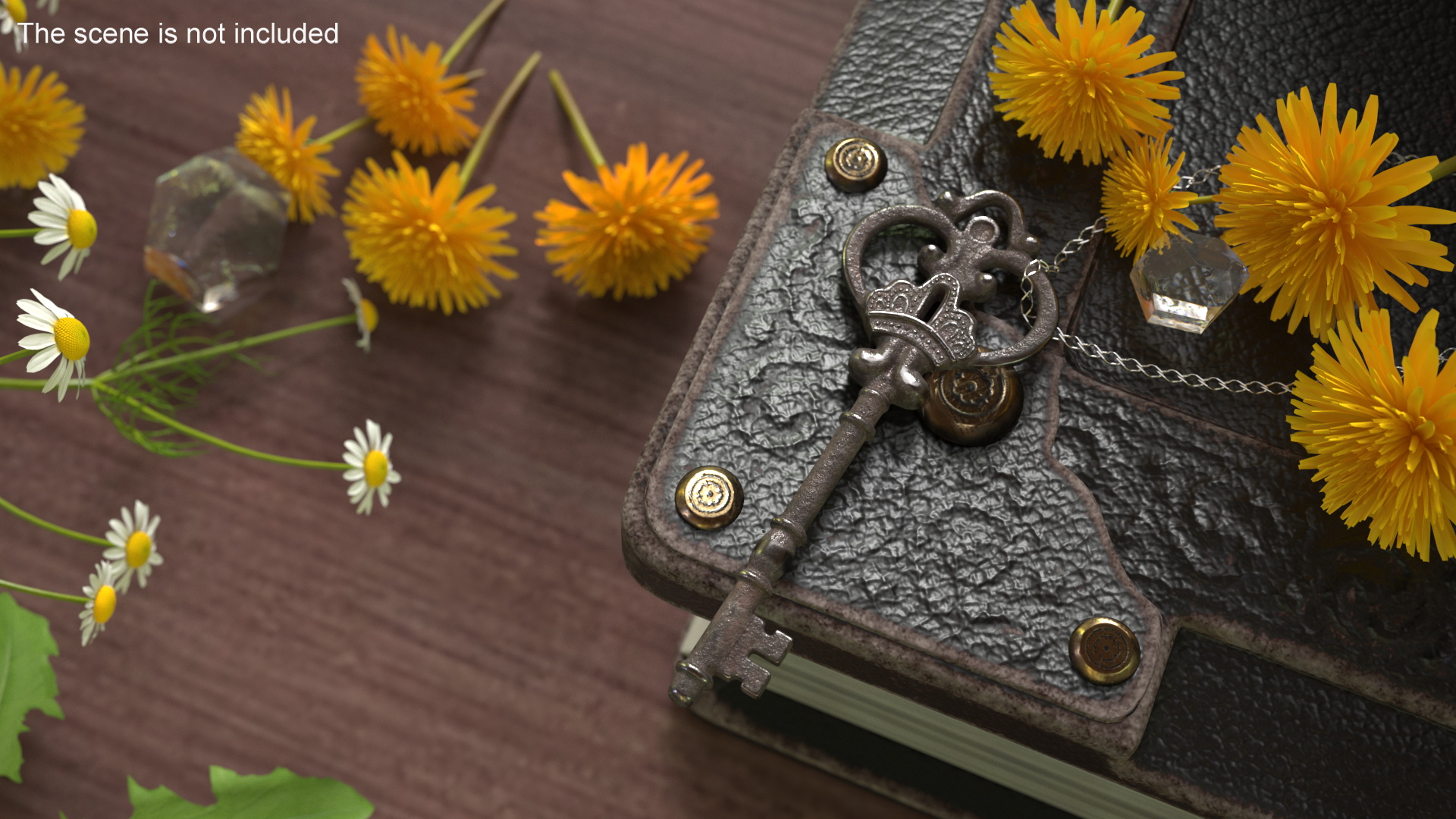 Decorative Skeleton Key Steel 3D model