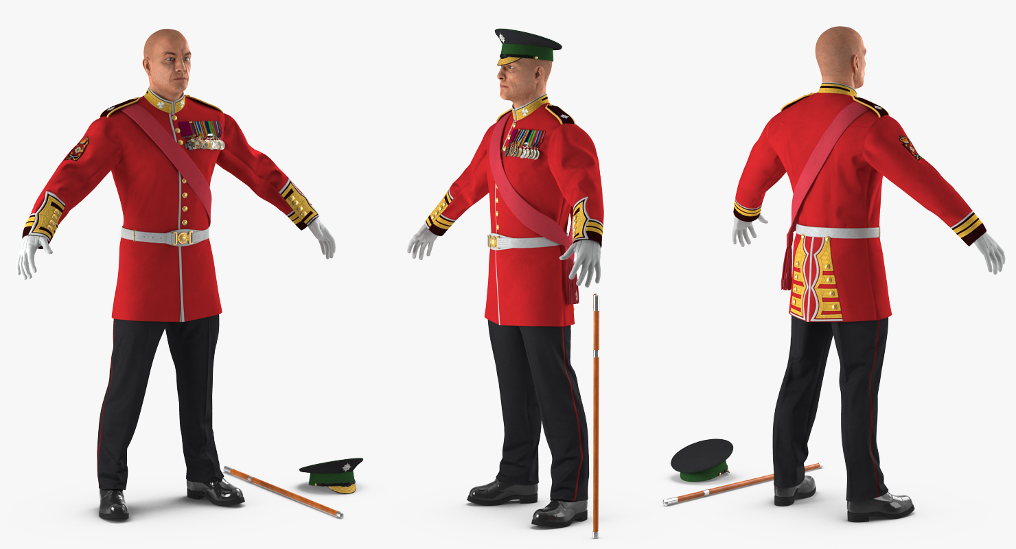 Irish Guard Sergeant Rigged 3D