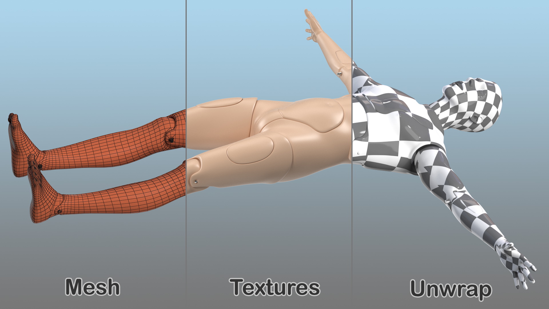 3D First Aid Training Manikin T-Pose model