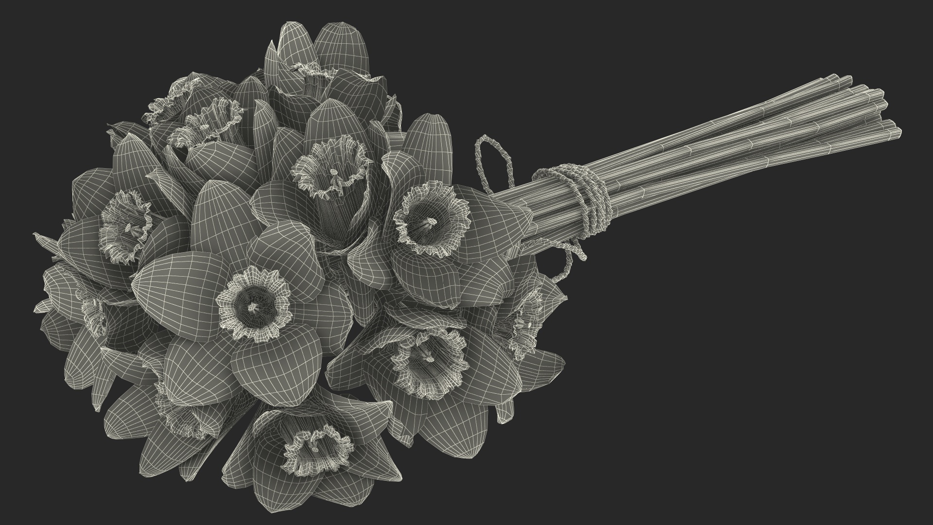 Daffodils Bouquet 3D