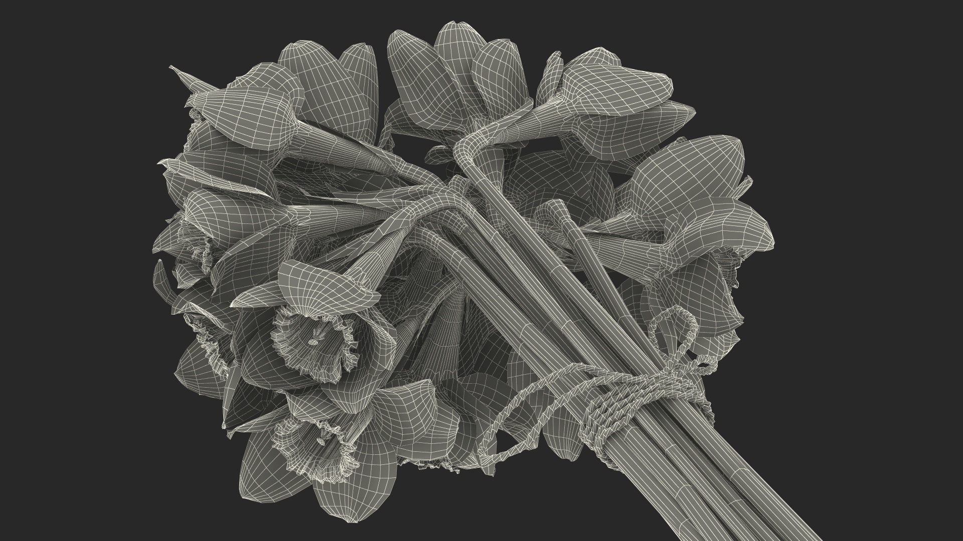 Daffodils Bouquet 3D