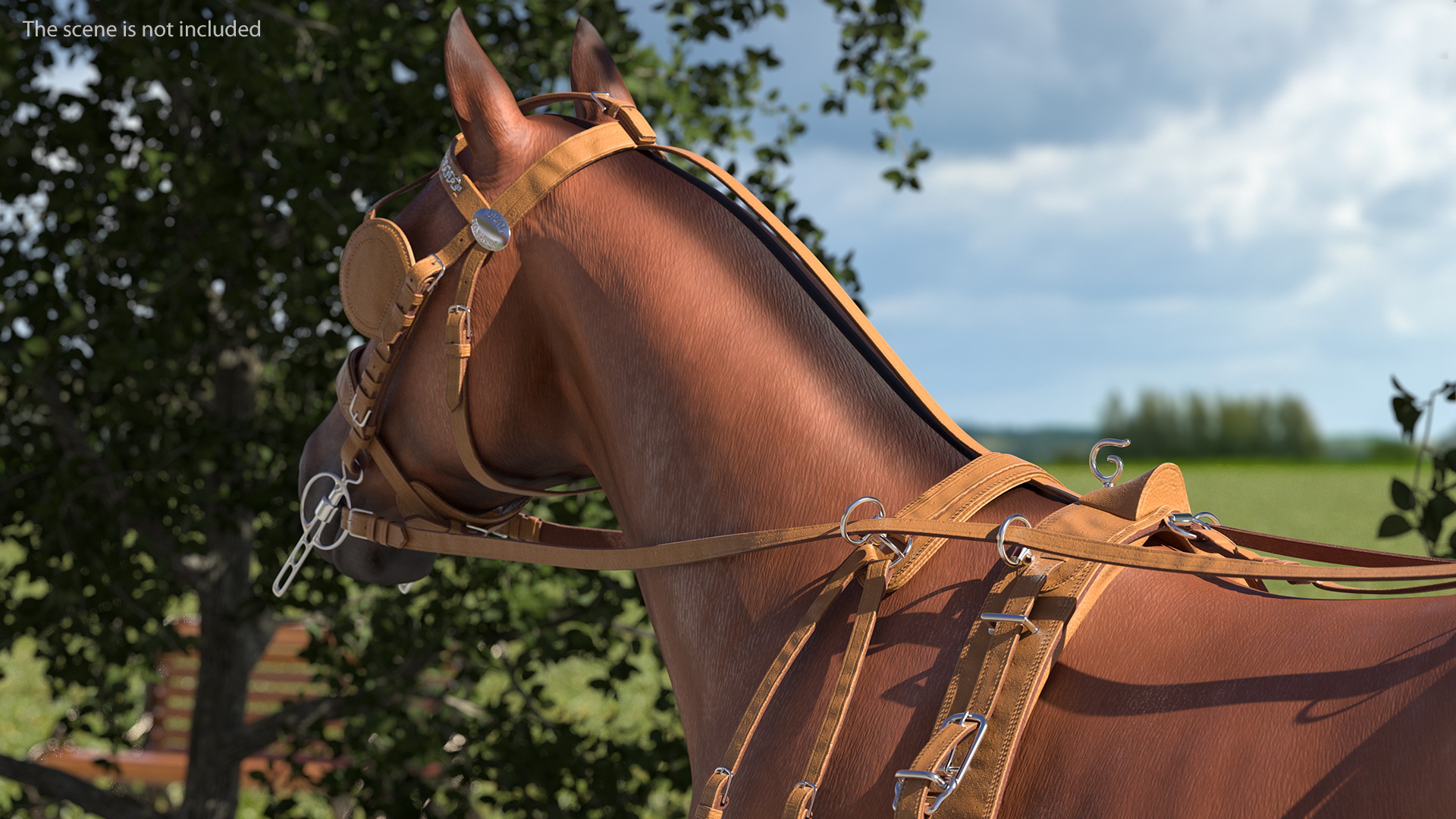 3D model Horse Drawn Leather Harness Walking Pose