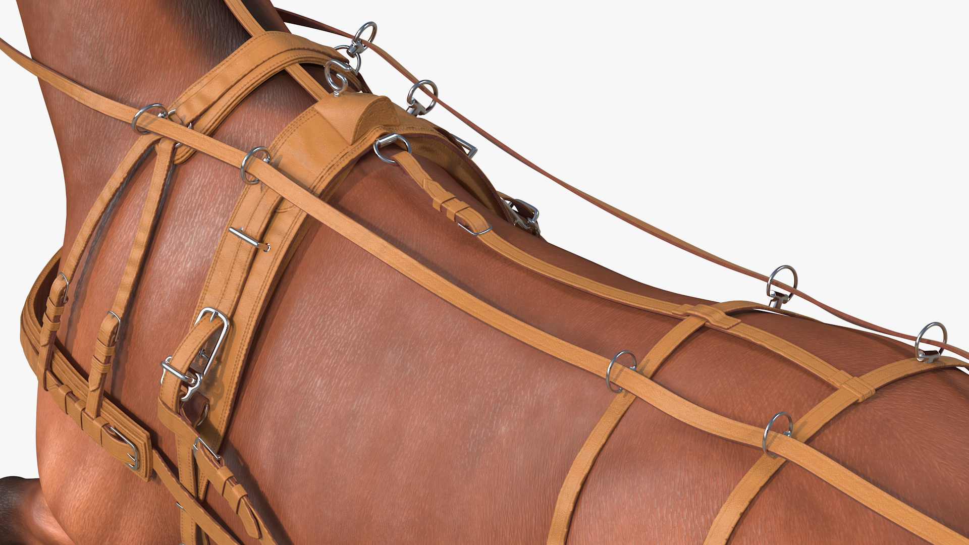 3D model Horse Drawn Leather Harness Walking Pose