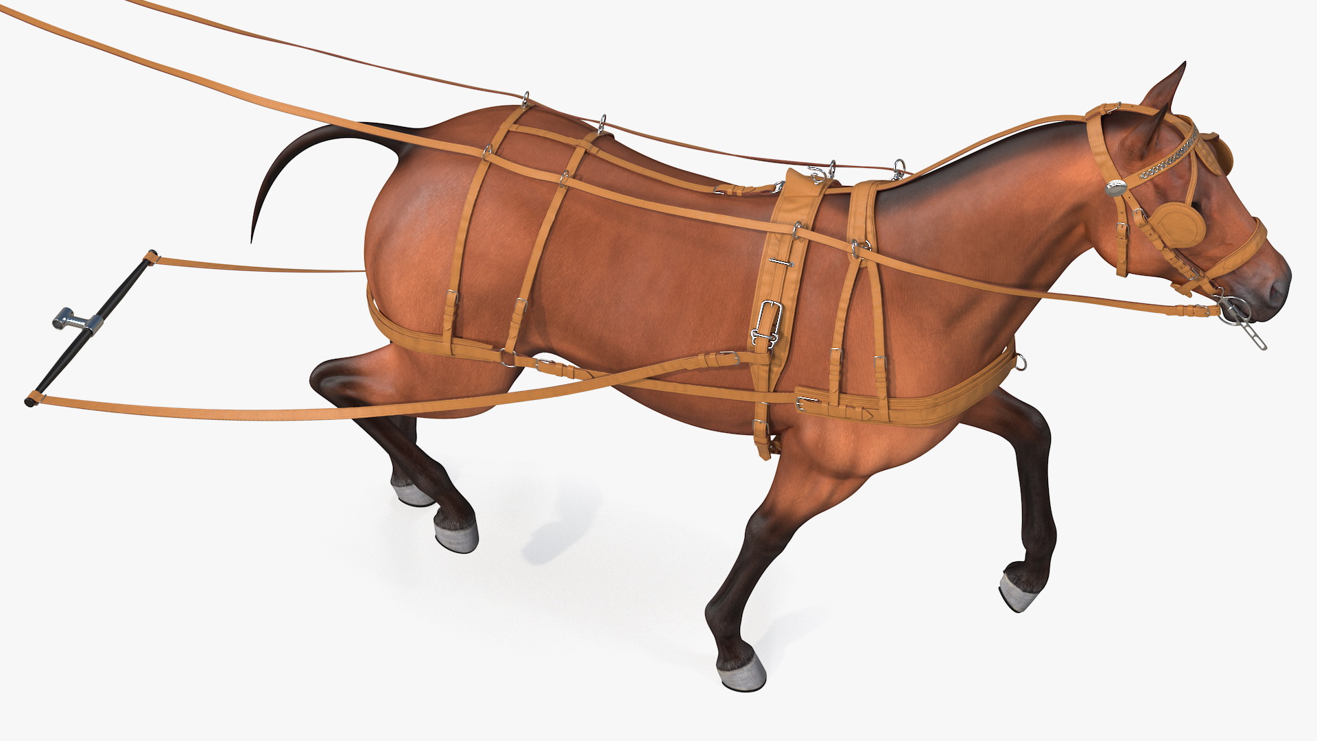3D model Horse Drawn Leather Harness Walking Pose