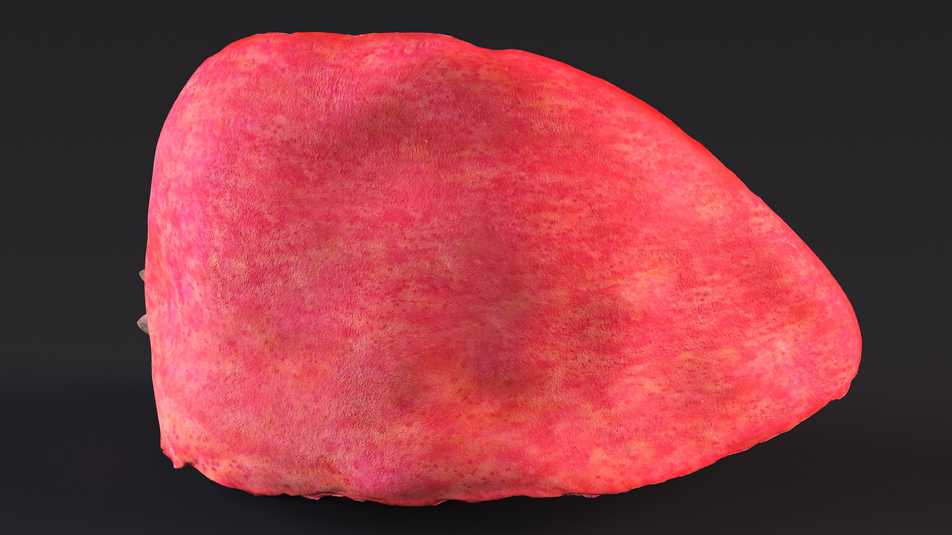 Slice Pomegranate 3D