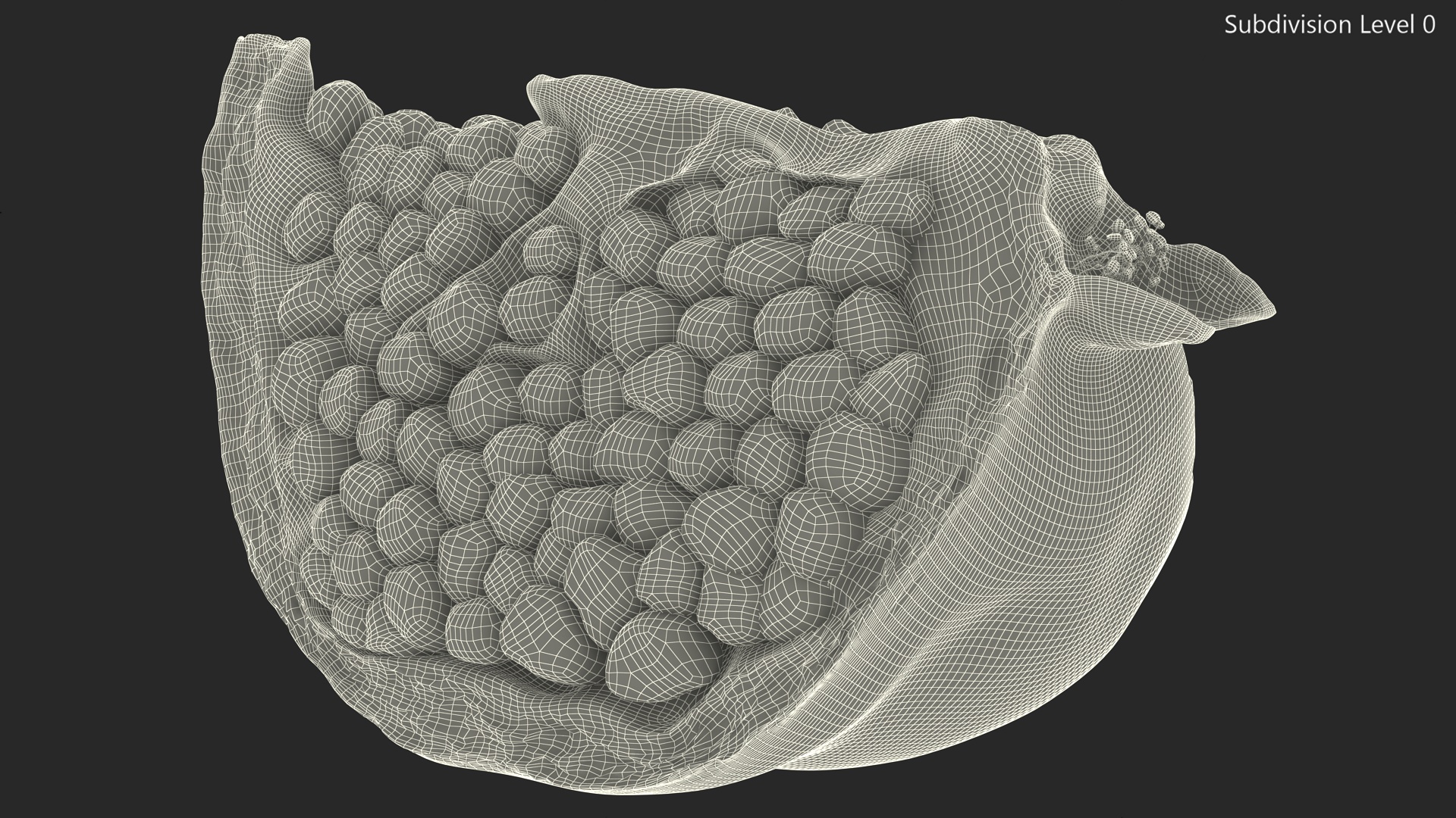 Slice Pomegranate 3D