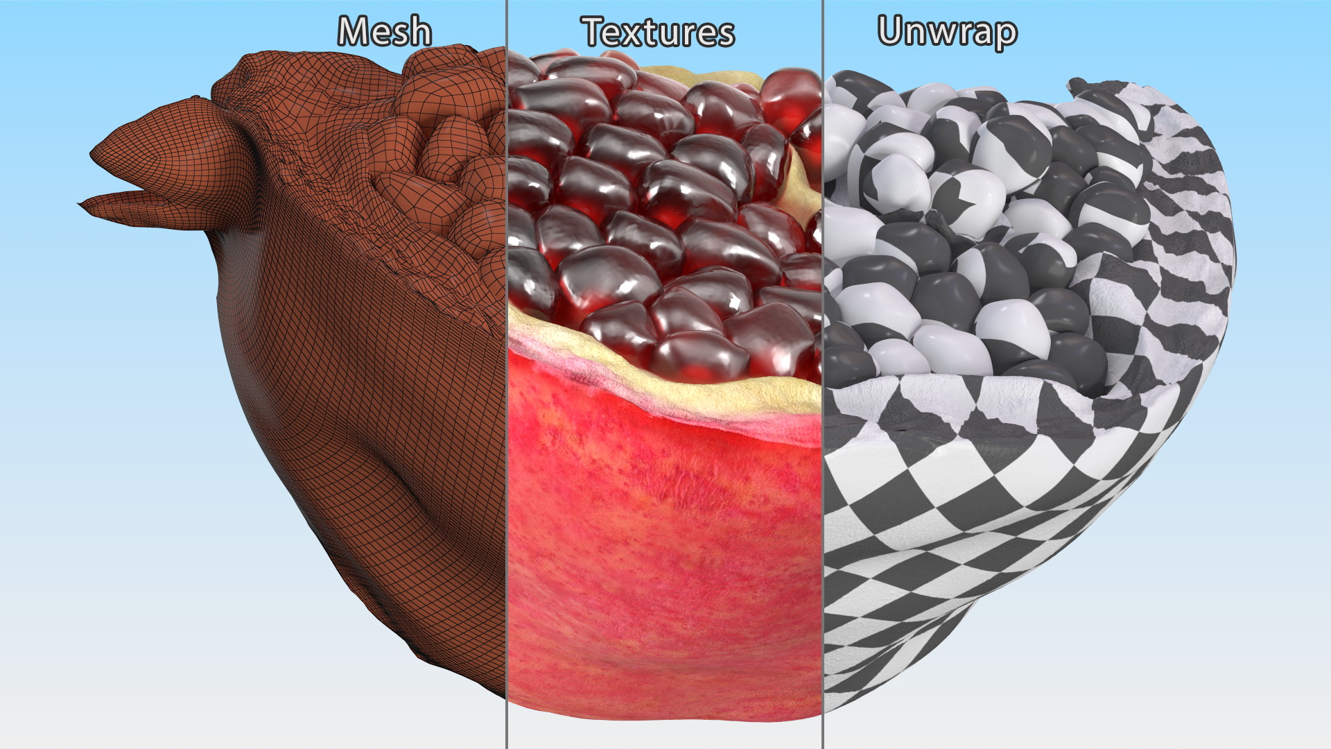 Slice Pomegranate 3D