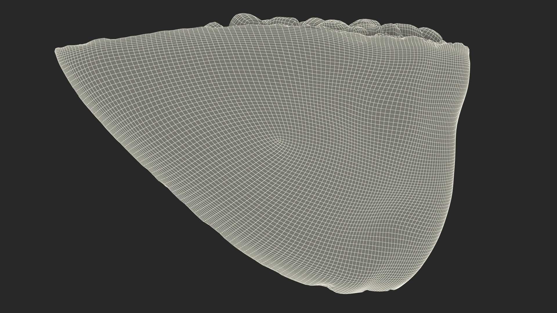 Slice Pomegranate 3D
