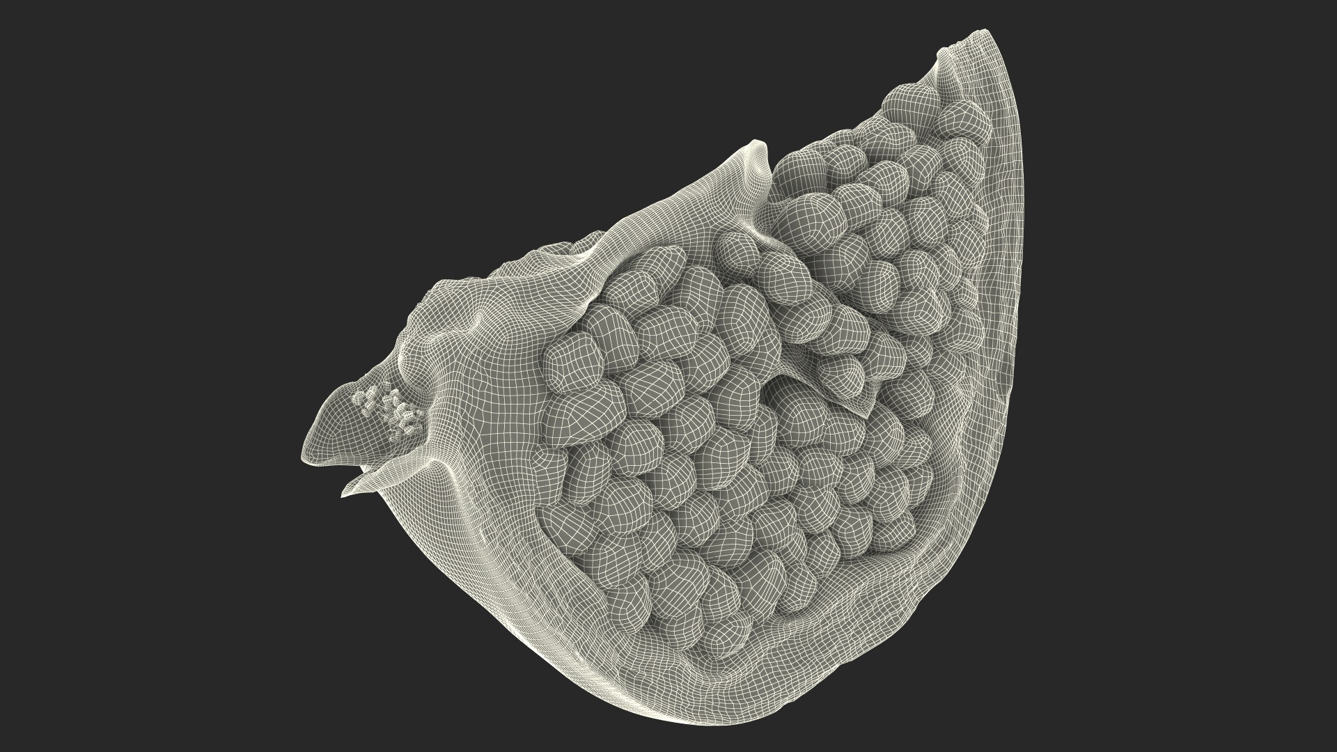 Slice Pomegranate 3D