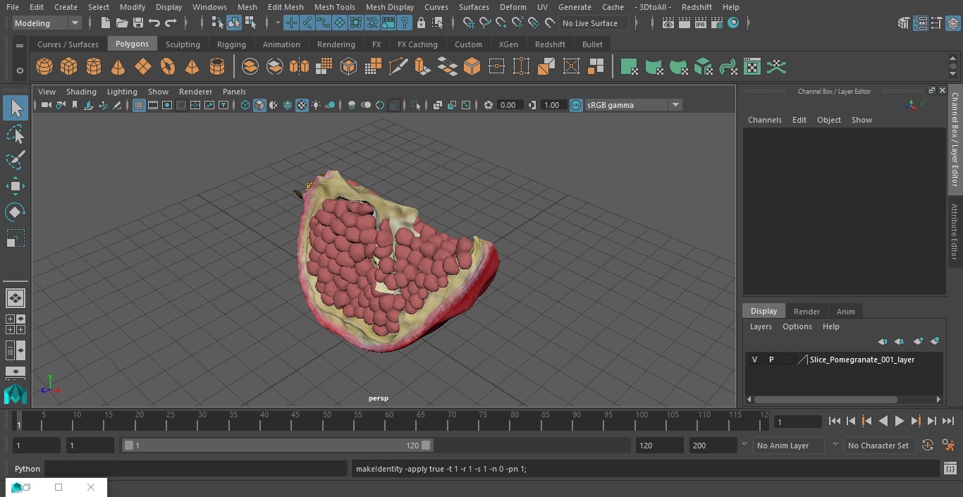 Slice Pomegranate 3D