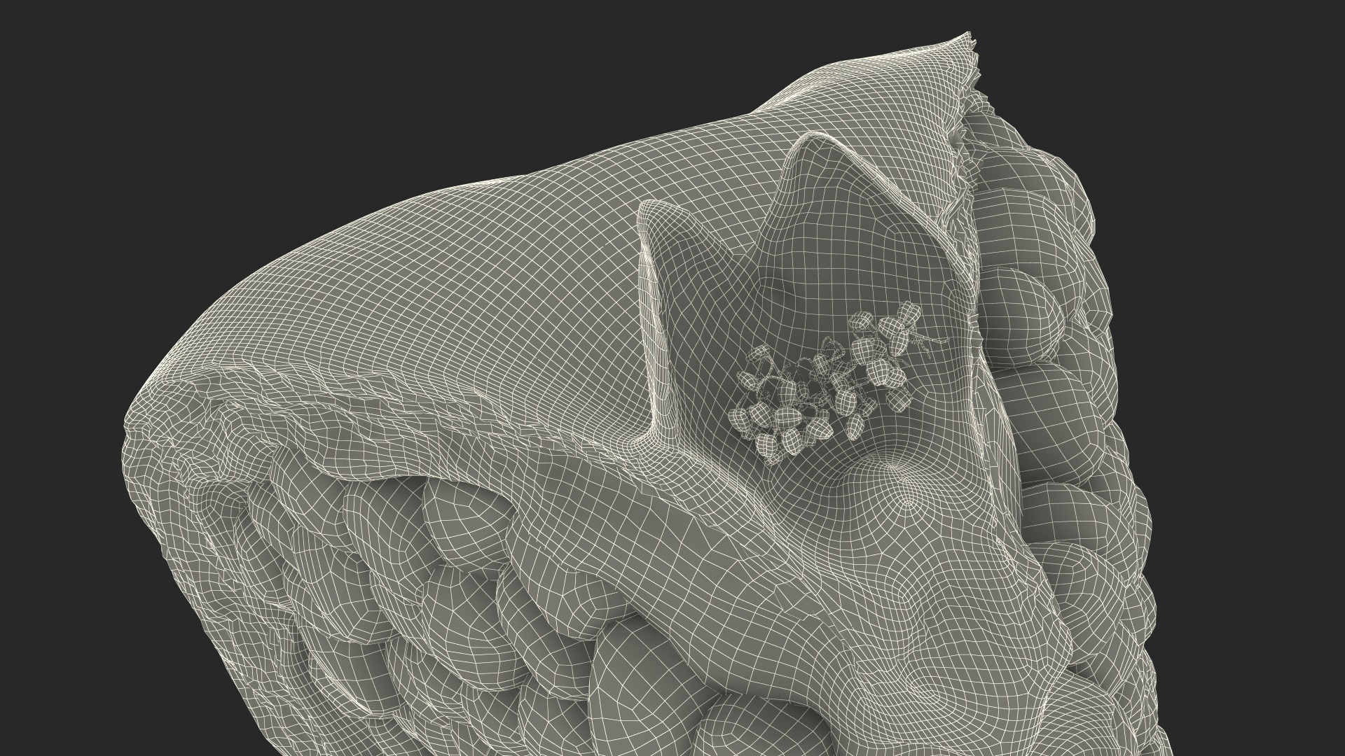 Slice Pomegranate 3D