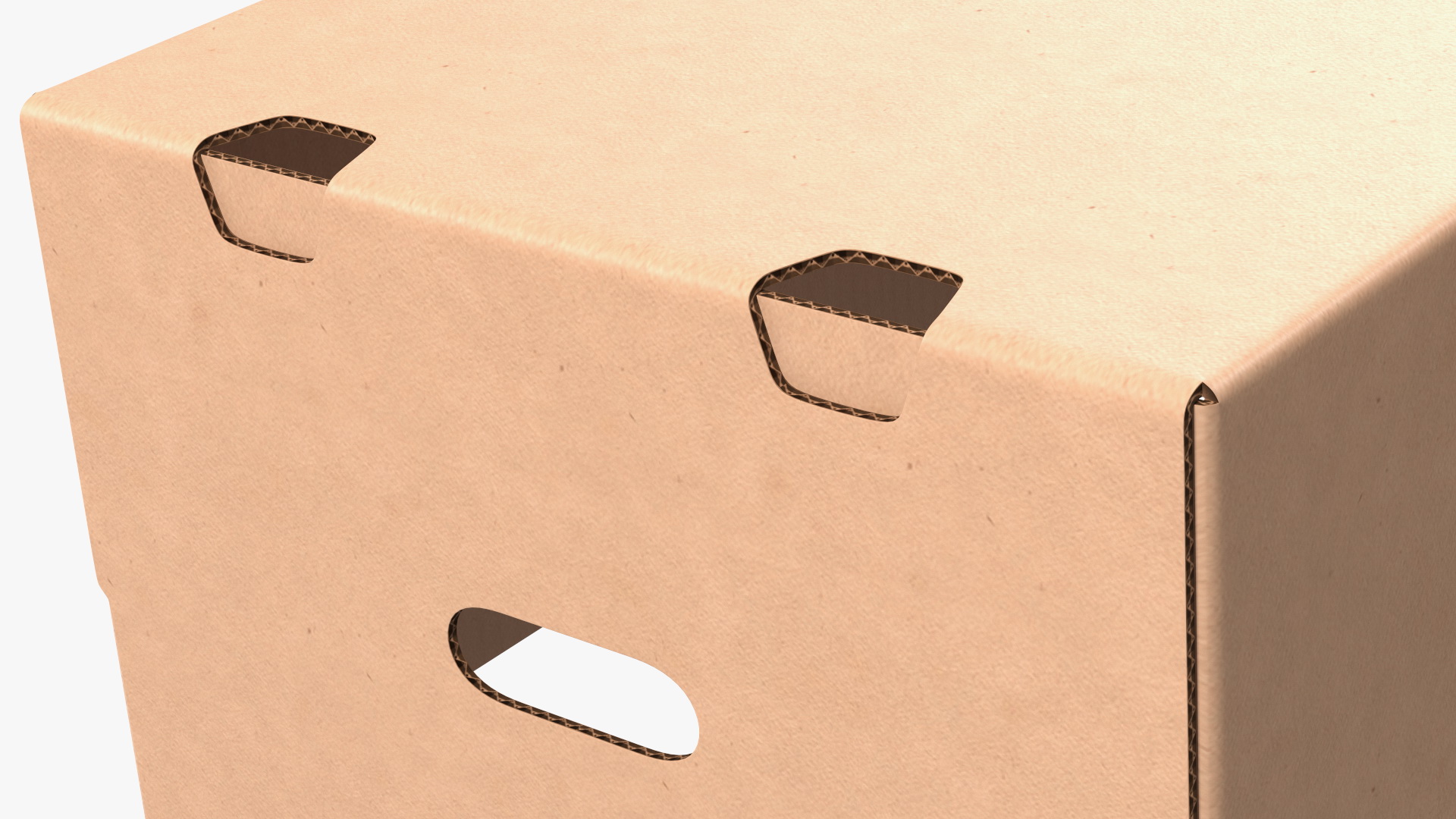 3D model Fruit Packaging Corrugated Cardboard Tray Box