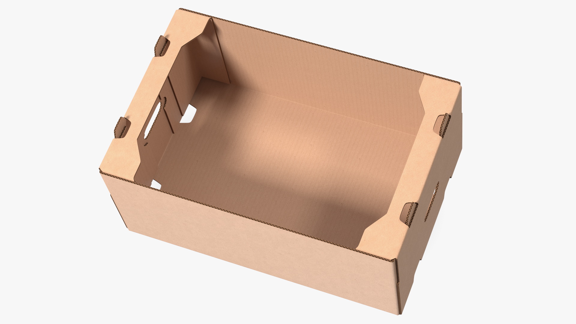 3D model Fruit Packaging Corrugated Cardboard Tray Box