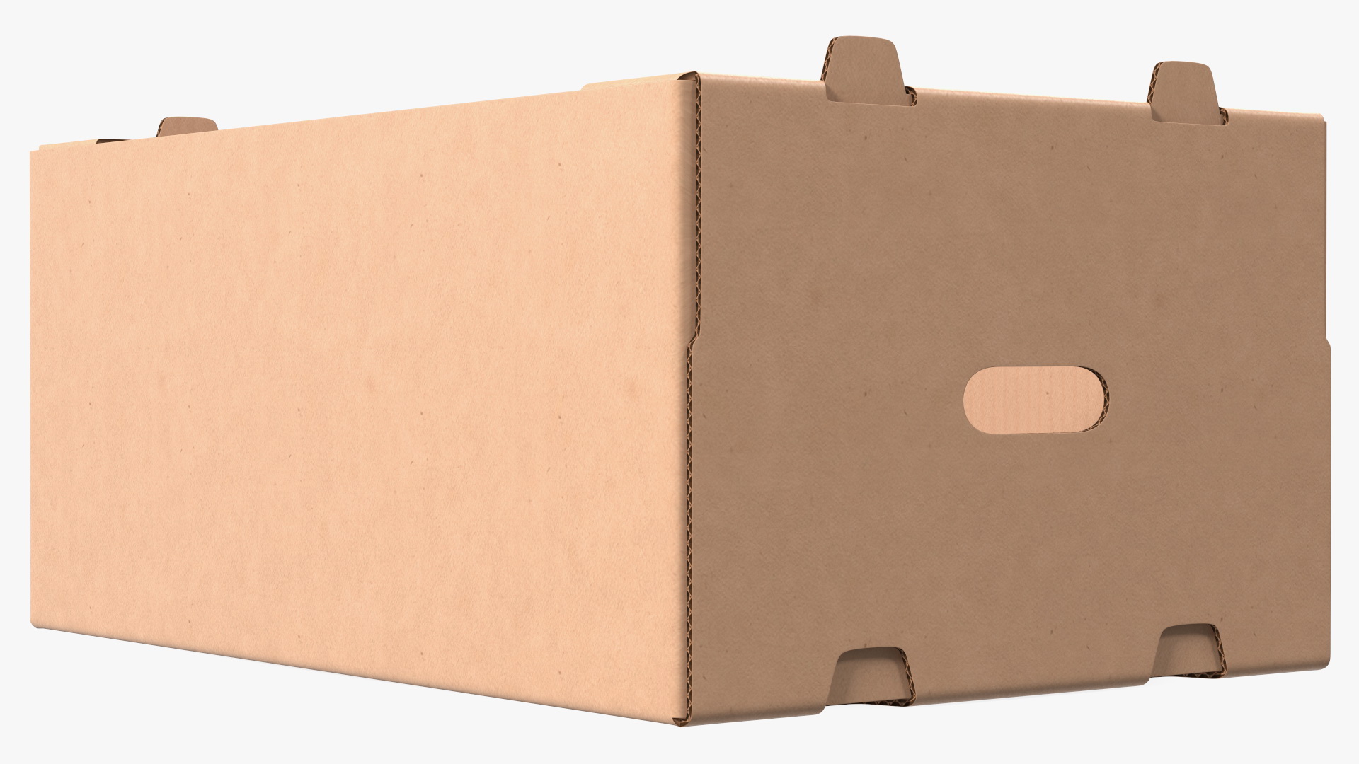 3D model Fruit Packaging Corrugated Cardboard Tray Box