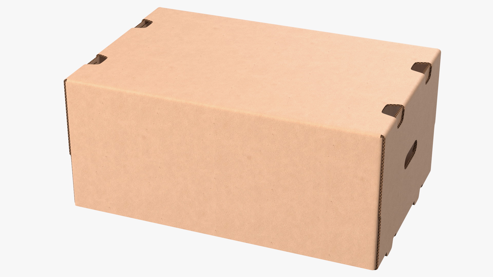 3D model Fruit Packaging Corrugated Cardboard Tray Box