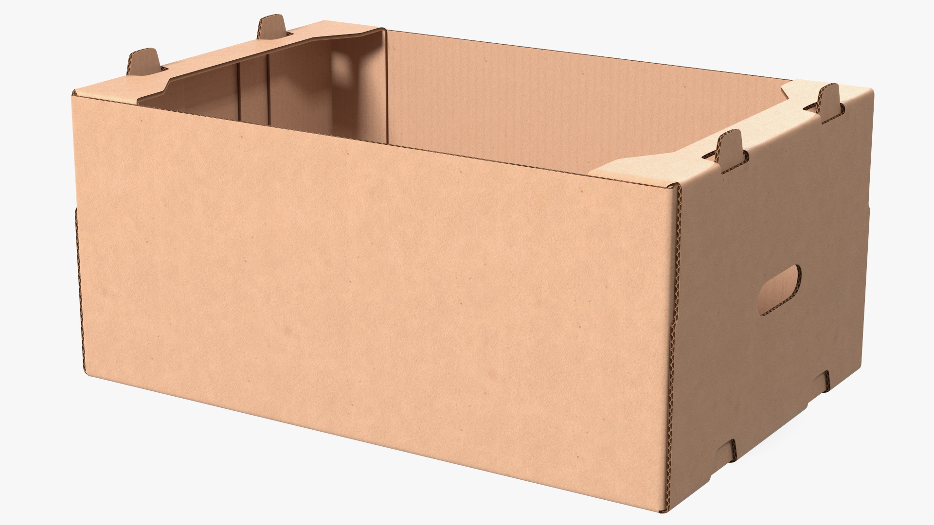 3D model Fruit Packaging Corrugated Cardboard Tray Box