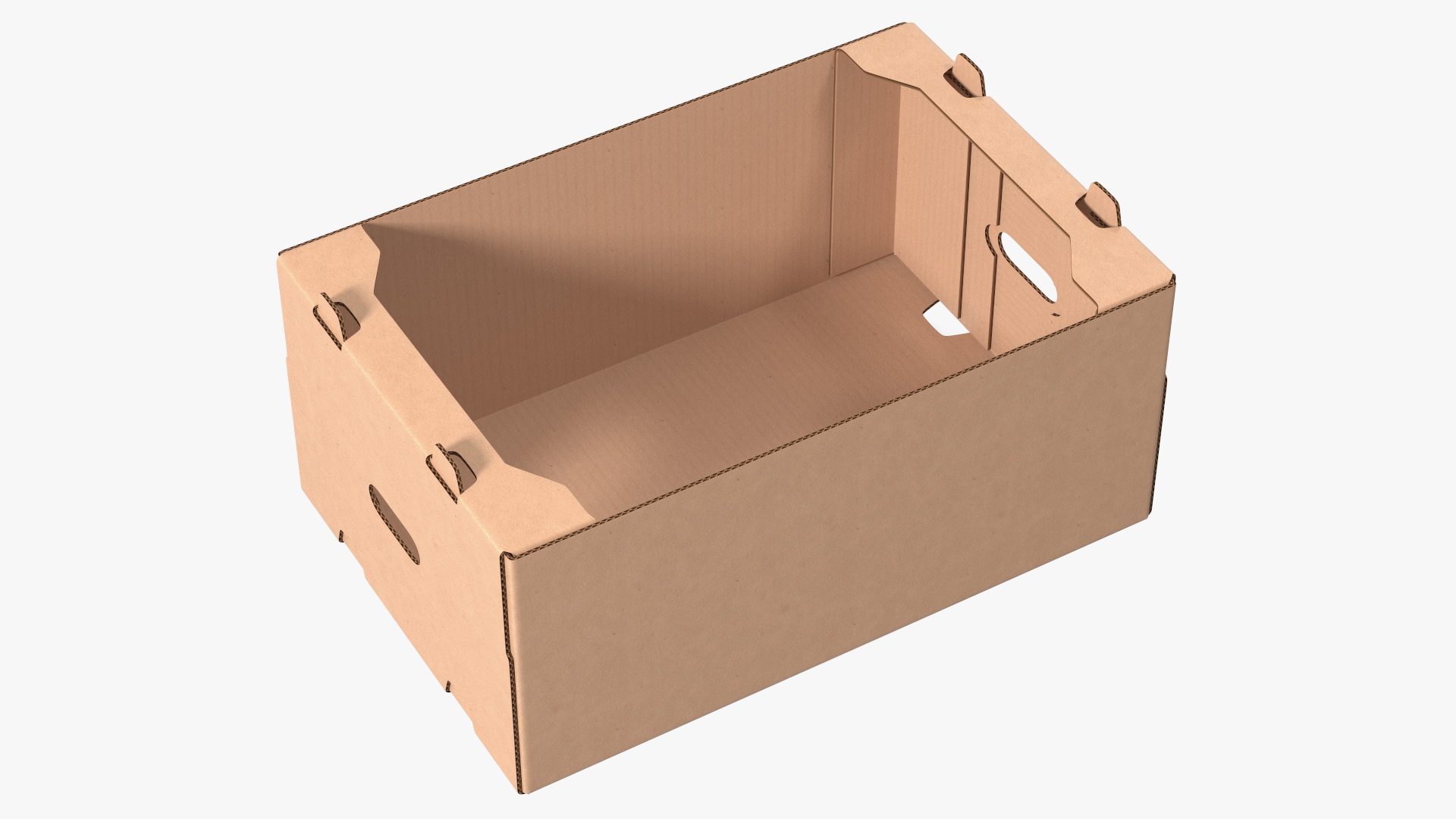 3D model Fruit Packaging Corrugated Cardboard Tray Box