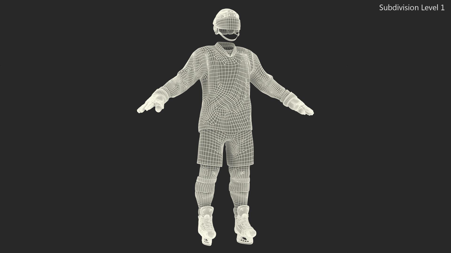 Hockey Equipment White 3D
