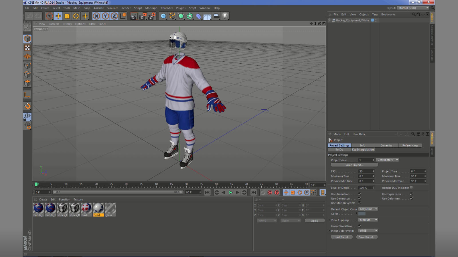 Hockey Equipment White 3D