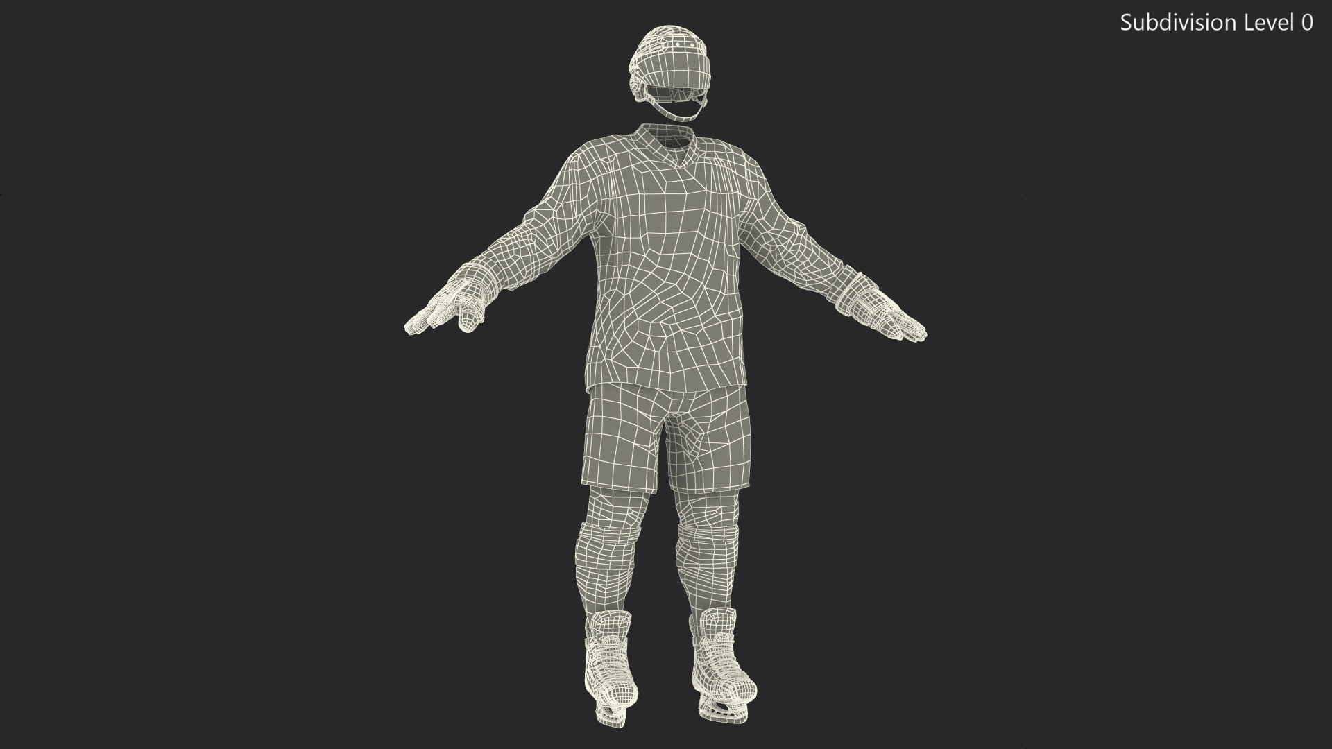 Hockey Equipment White 3D