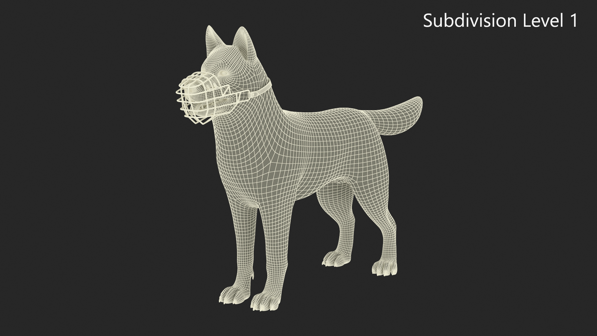 Siberian Husky Black and White with Muzzle 3D