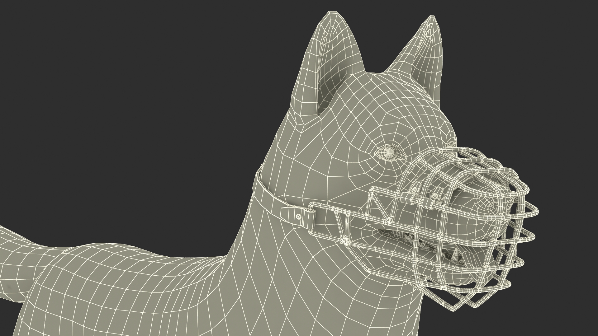 Siberian Husky Black and White with Muzzle 3D