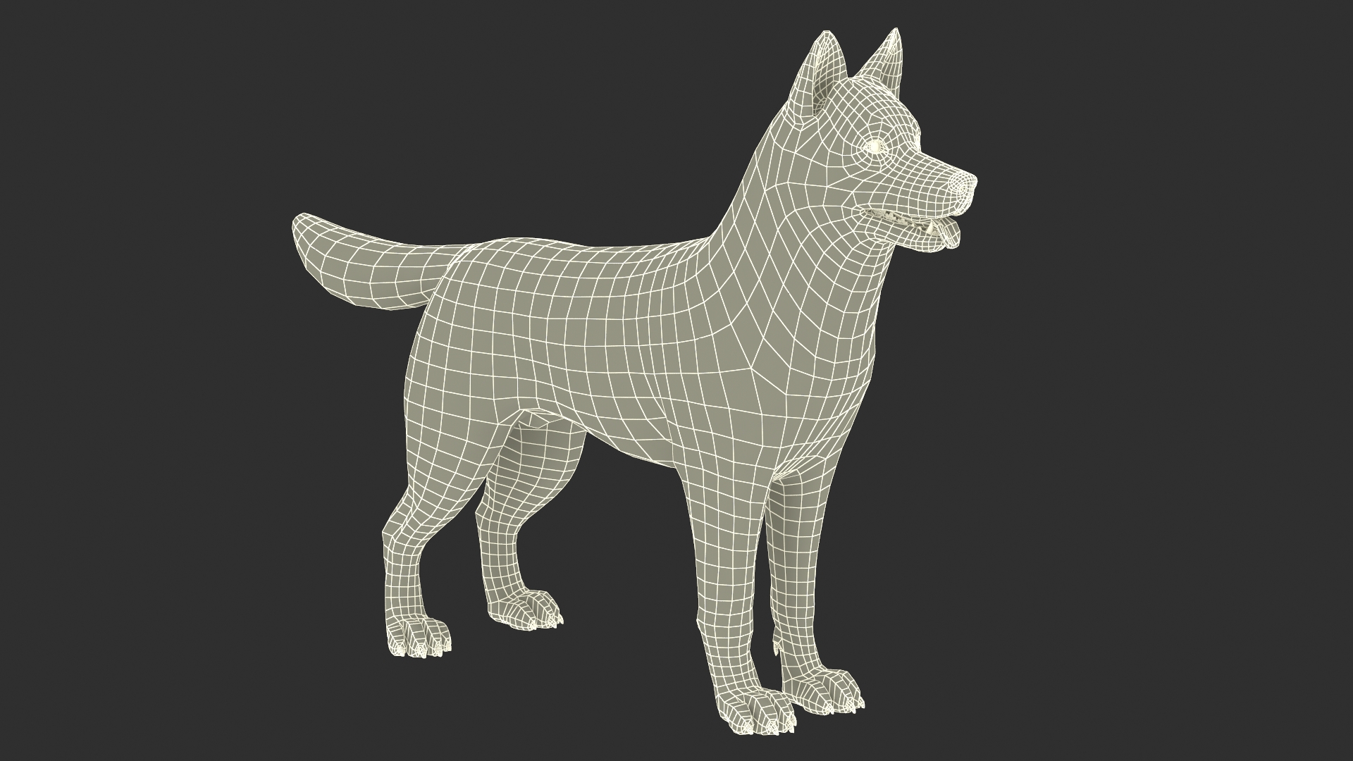 Siberian Husky Black and White with Muzzle 3D