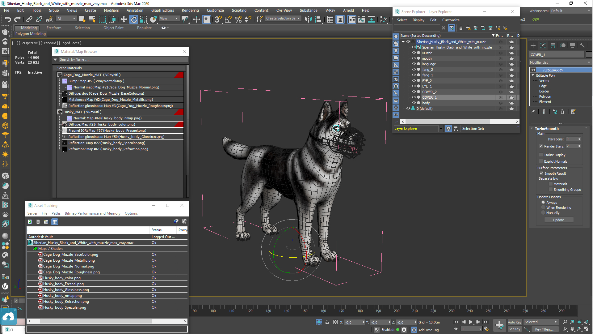Siberian Husky Black and White with Muzzle 3D