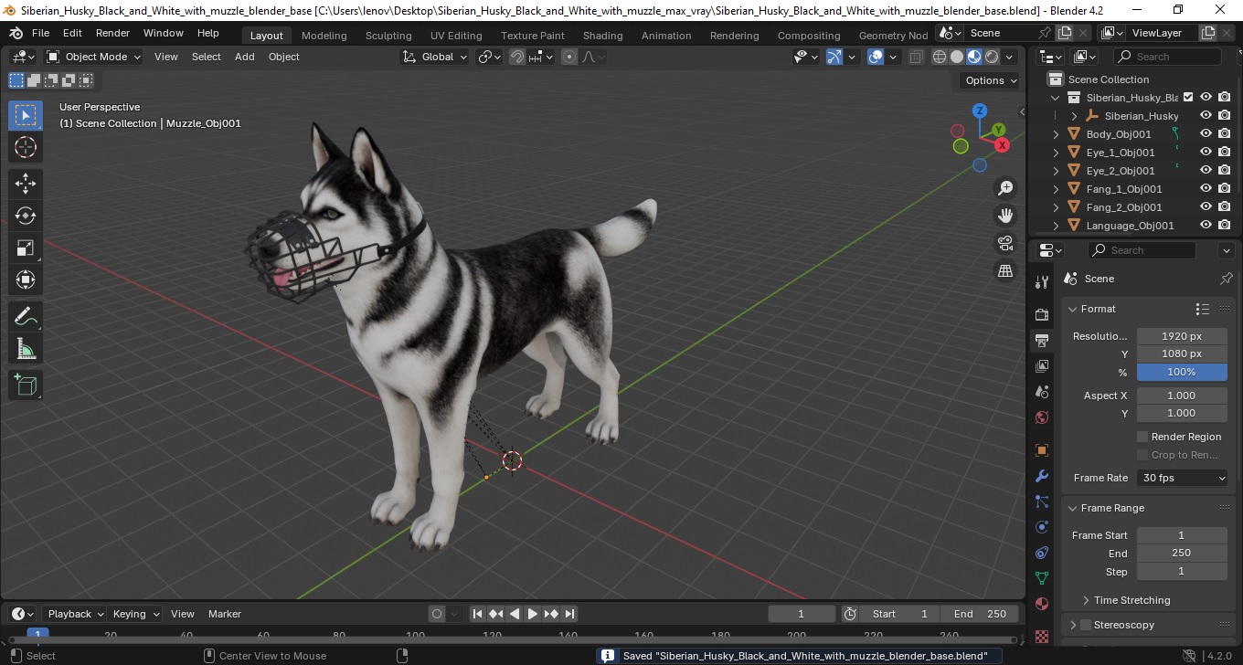 Siberian Husky Black and White with Muzzle 3D