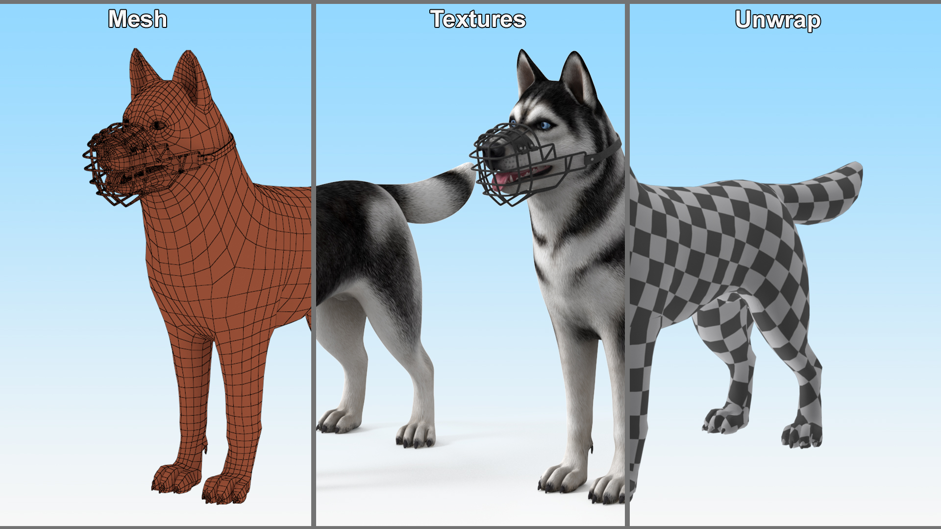 Siberian Husky Black and White with Muzzle 3D