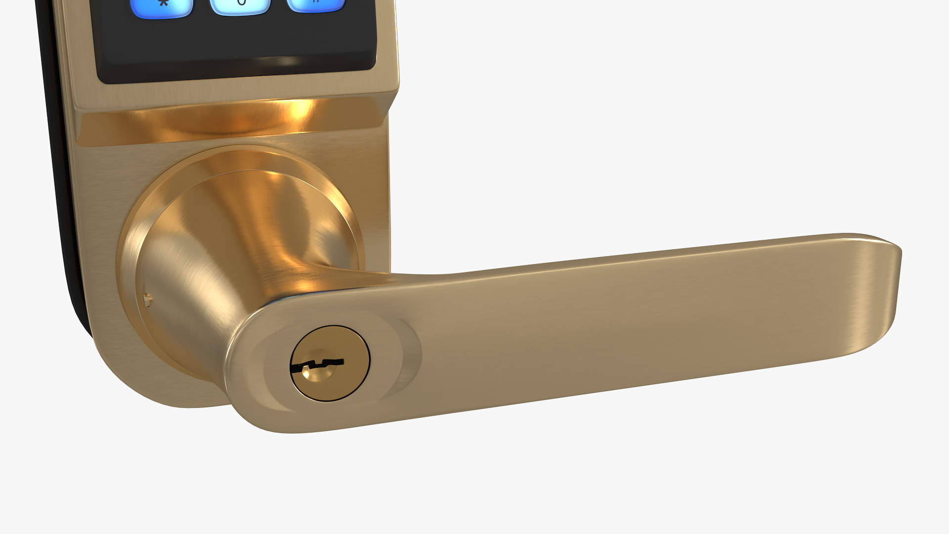3D Hornbill Smart Lock with Keypad Door Knob Gold