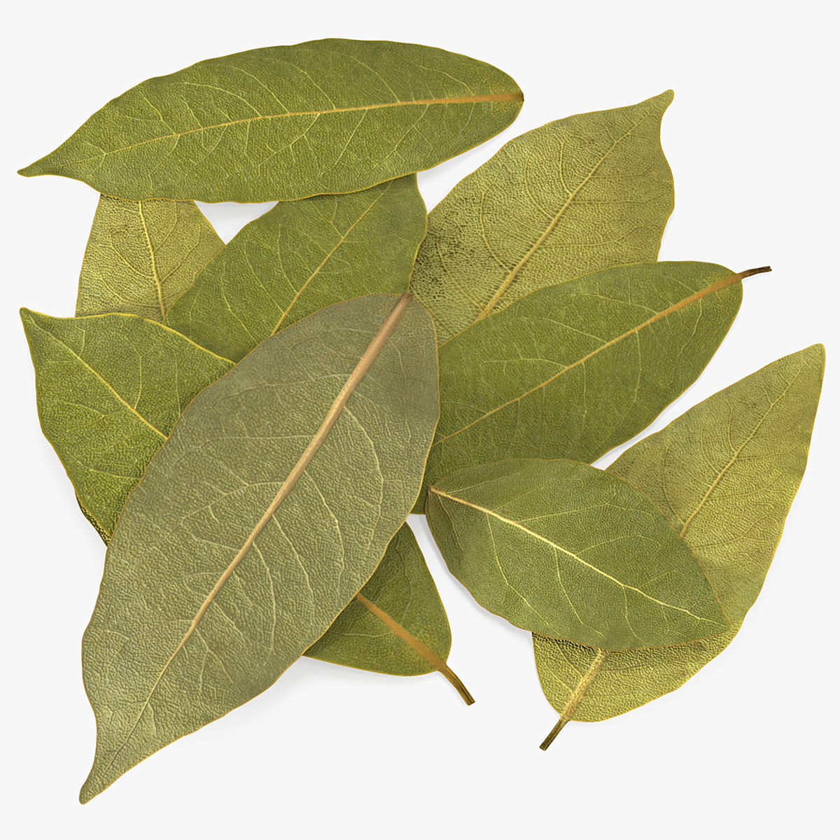 Dried Laurel Leaves