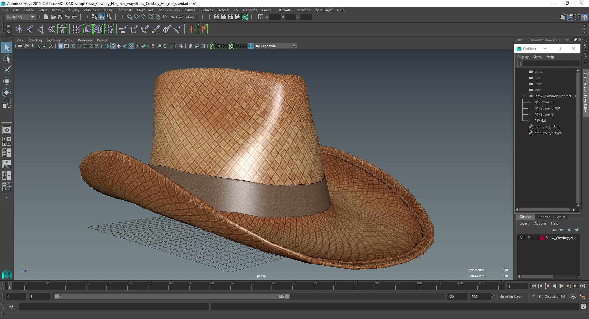 3D Straw Cowboy Hat
