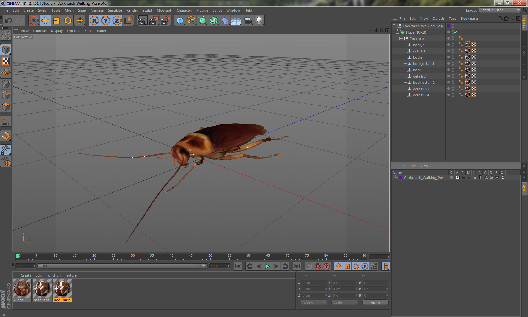 Cockroach Walking Pose 3D