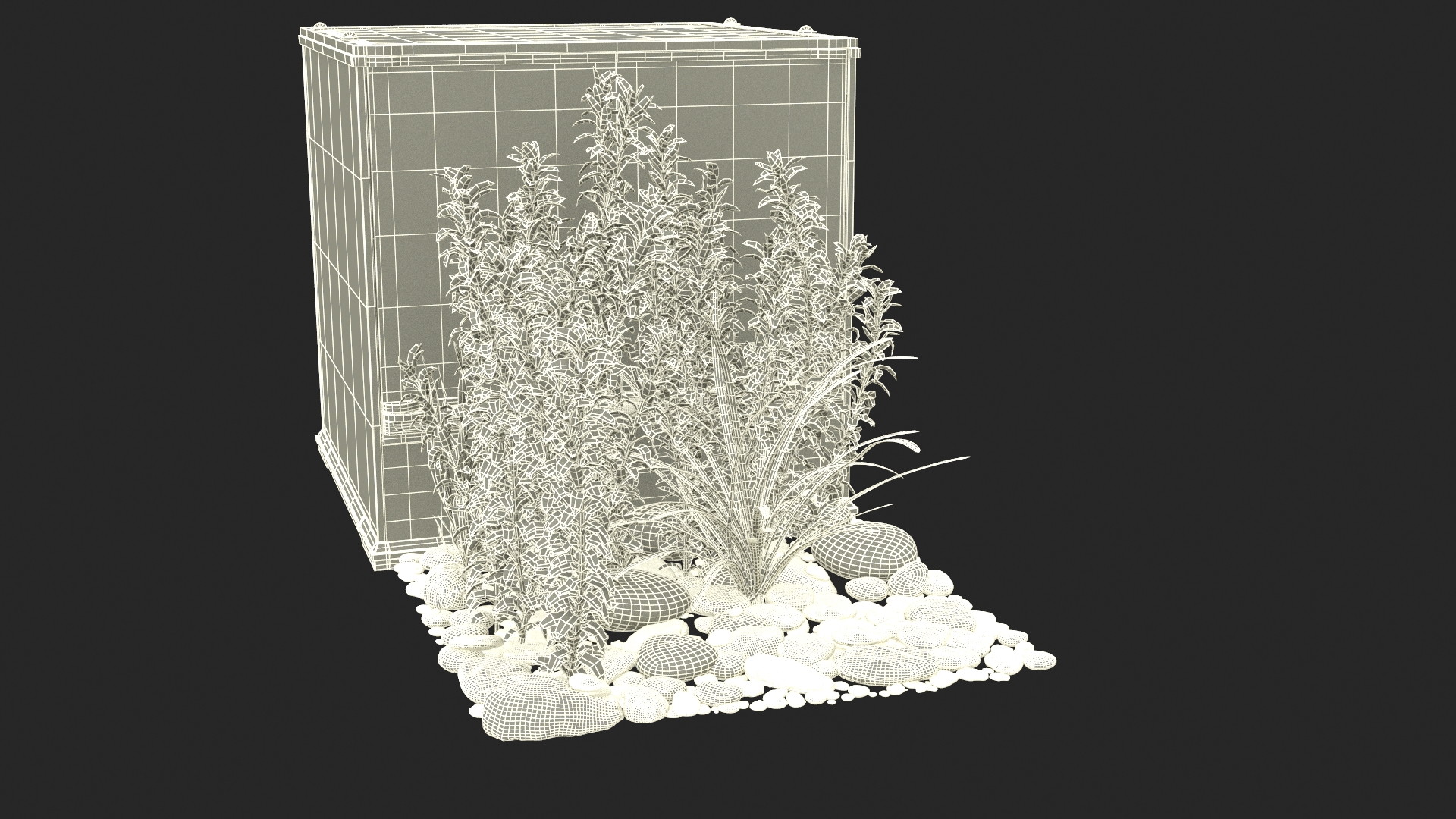 3D Small Cubic Terrarium with Plants model